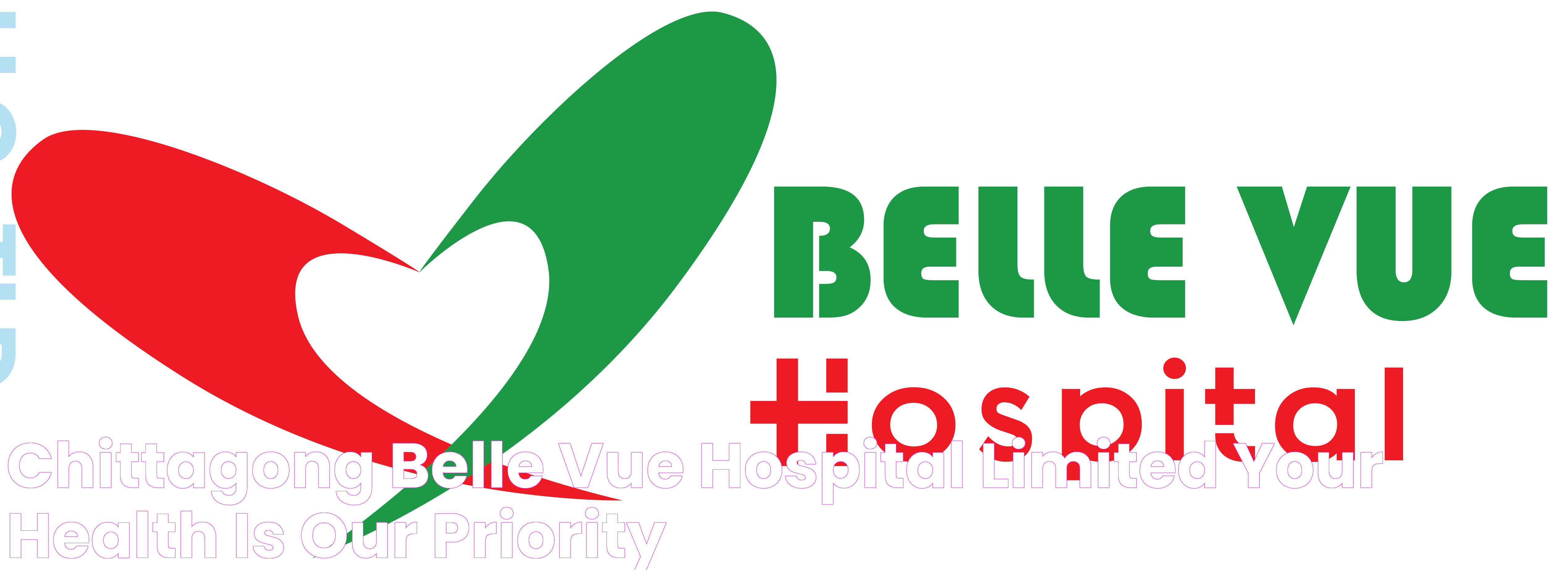 Healthcare Excellence: Bellevue Hospital's Remarkable Impact