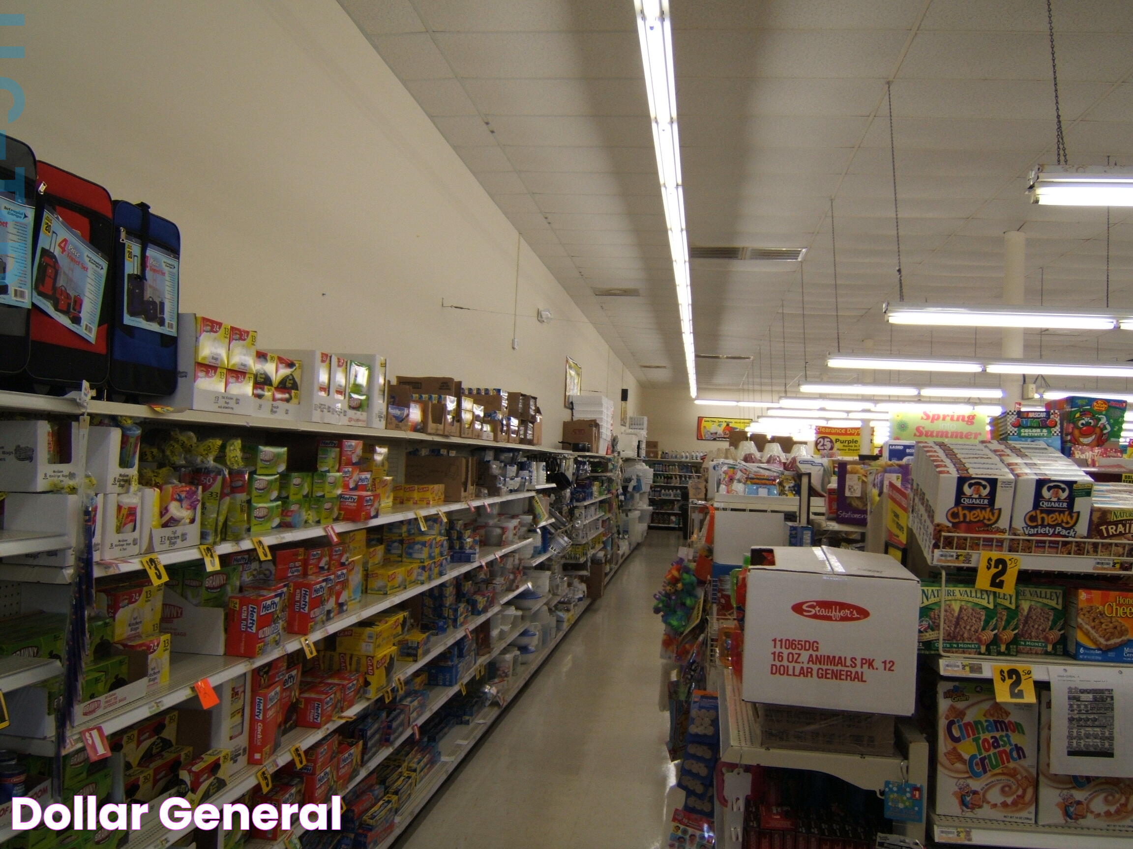 Investing In Dollar General Stock: Opportunities And Challenges