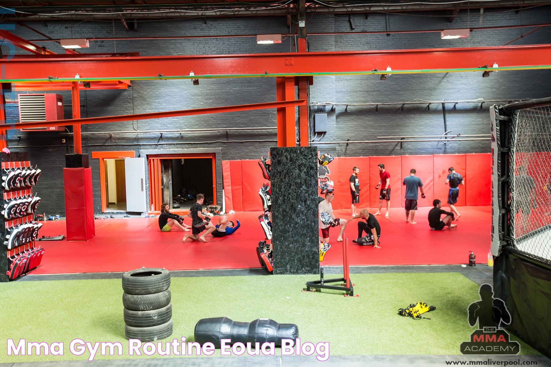 Kickstart Your Fitness Journey At The Best MMA Gym