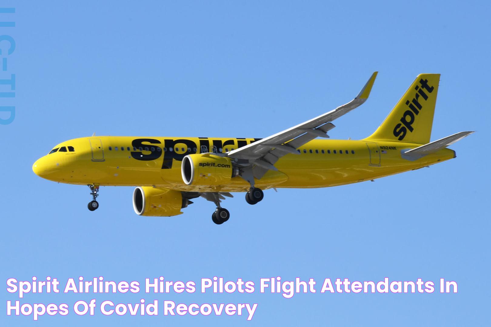 Smooth Online Experience With Spirit Airlines Web Check-In