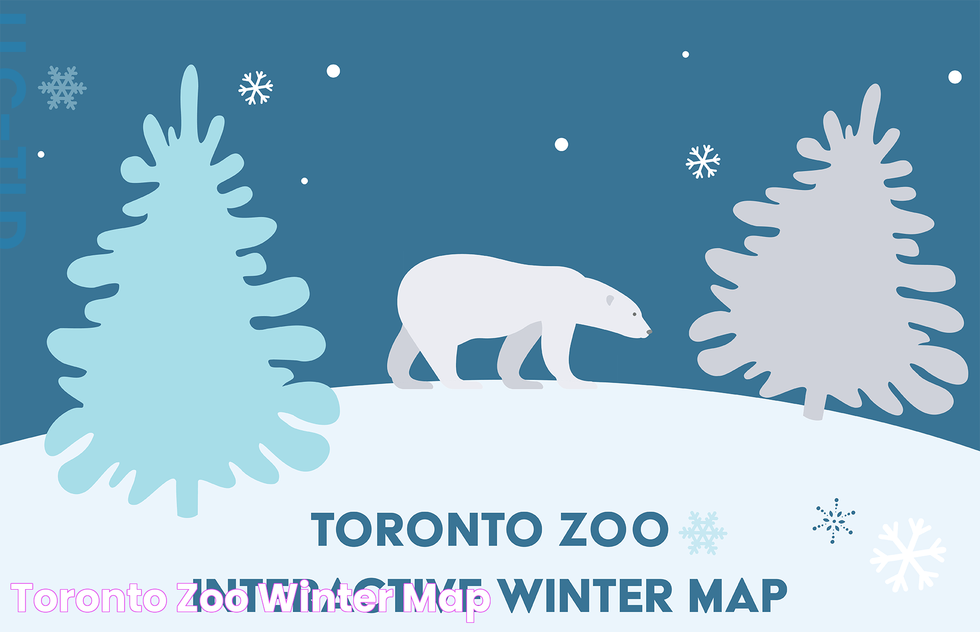 Toronto Zoo: A World Of Wildlife And Conservation Excellence