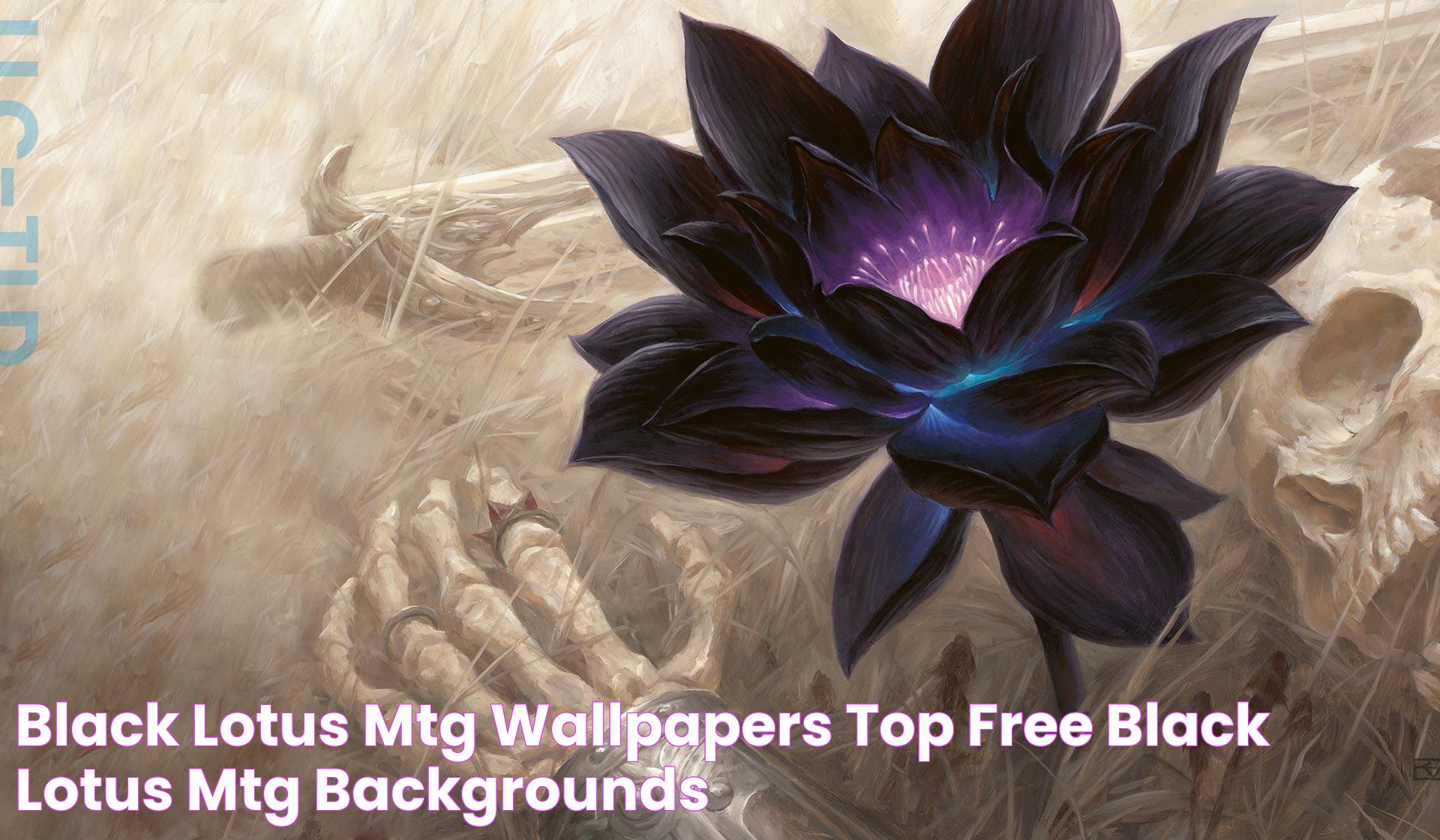 The Magic Of The MTG Black Lotus: A Collector's Dream