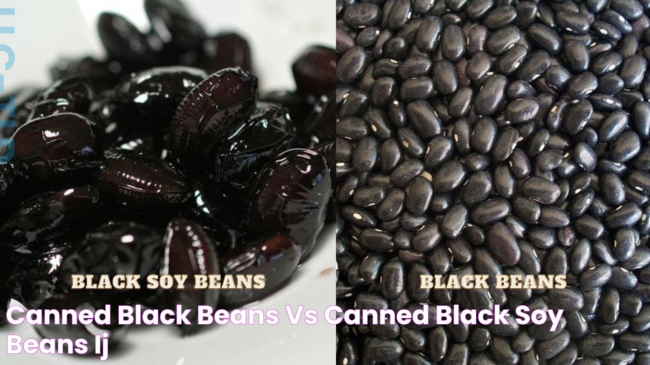 Ultimate Guide: The Versatile Canned Black Beans