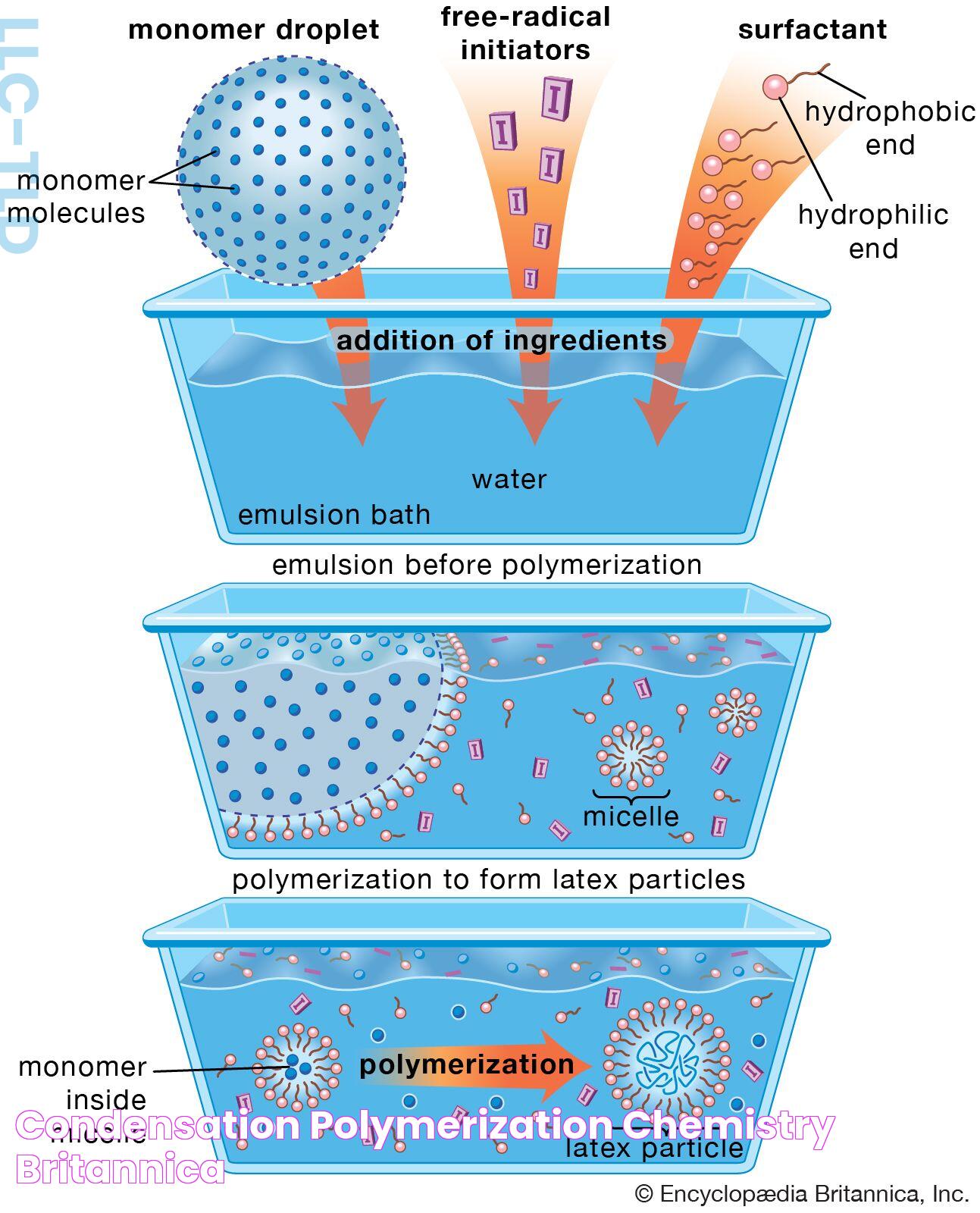 Decoding The Degree Of Polymerization: A Comprehensive Guide