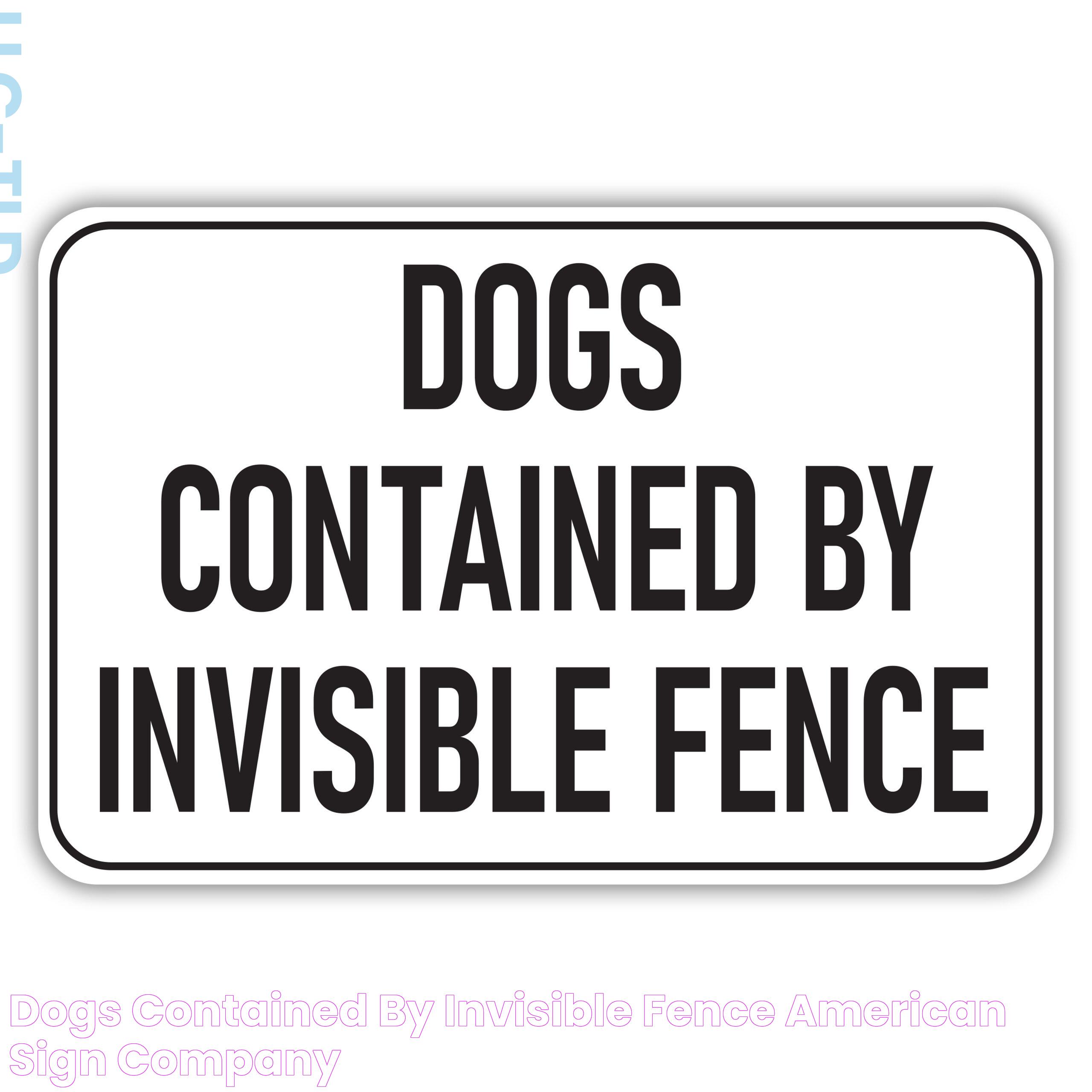 Invisible Fence For Dogs: A Safer Way To Keep Your Pets Secure