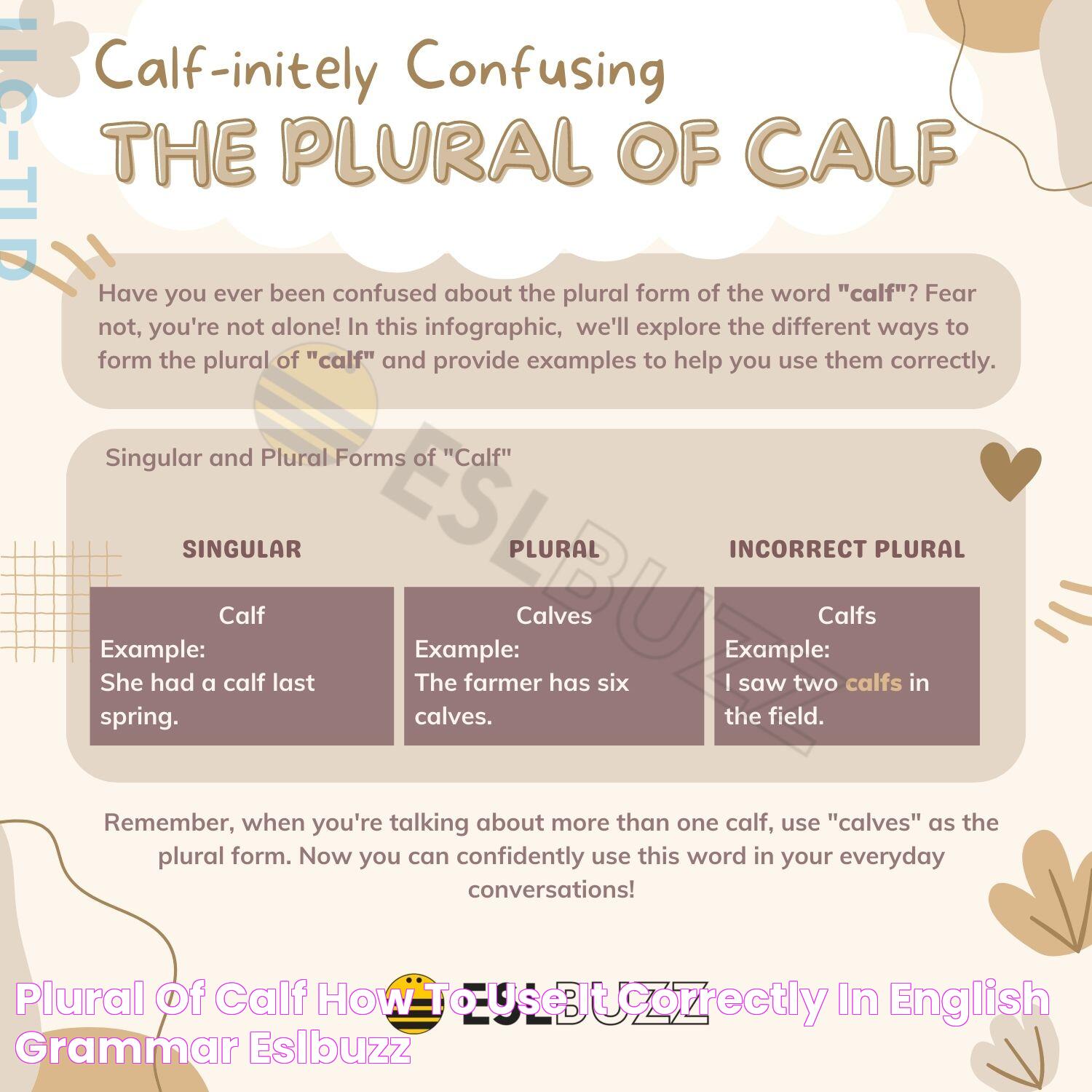 Plural Of Leg Calf: A Linguistic Exploration And More