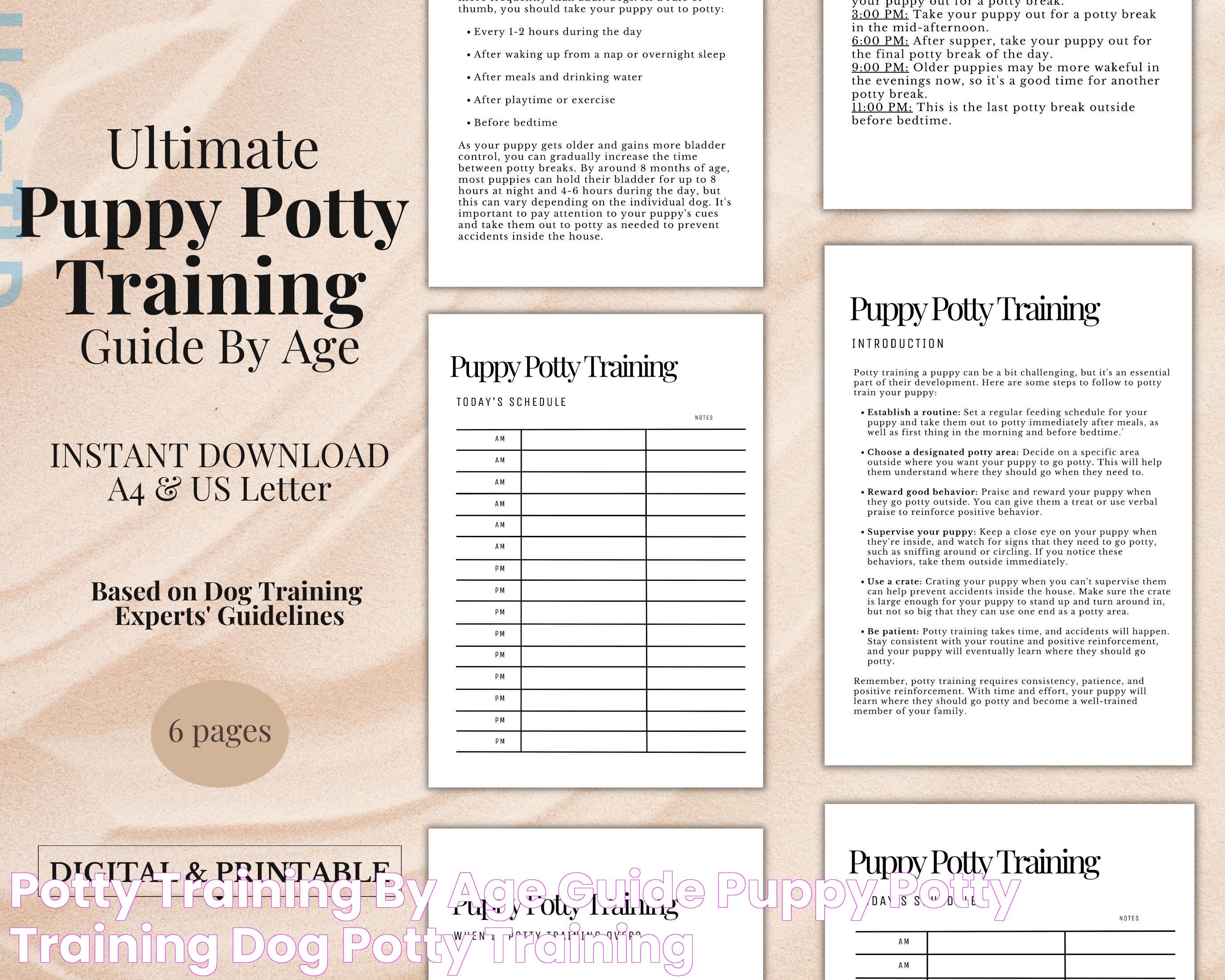 Optimal Age For Potty Training: A Guide To Success