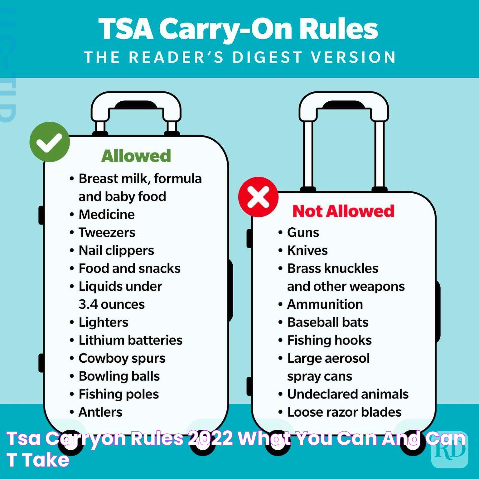 The Ultimate Guide To TSA Lotion Regulations: What You Need To Know