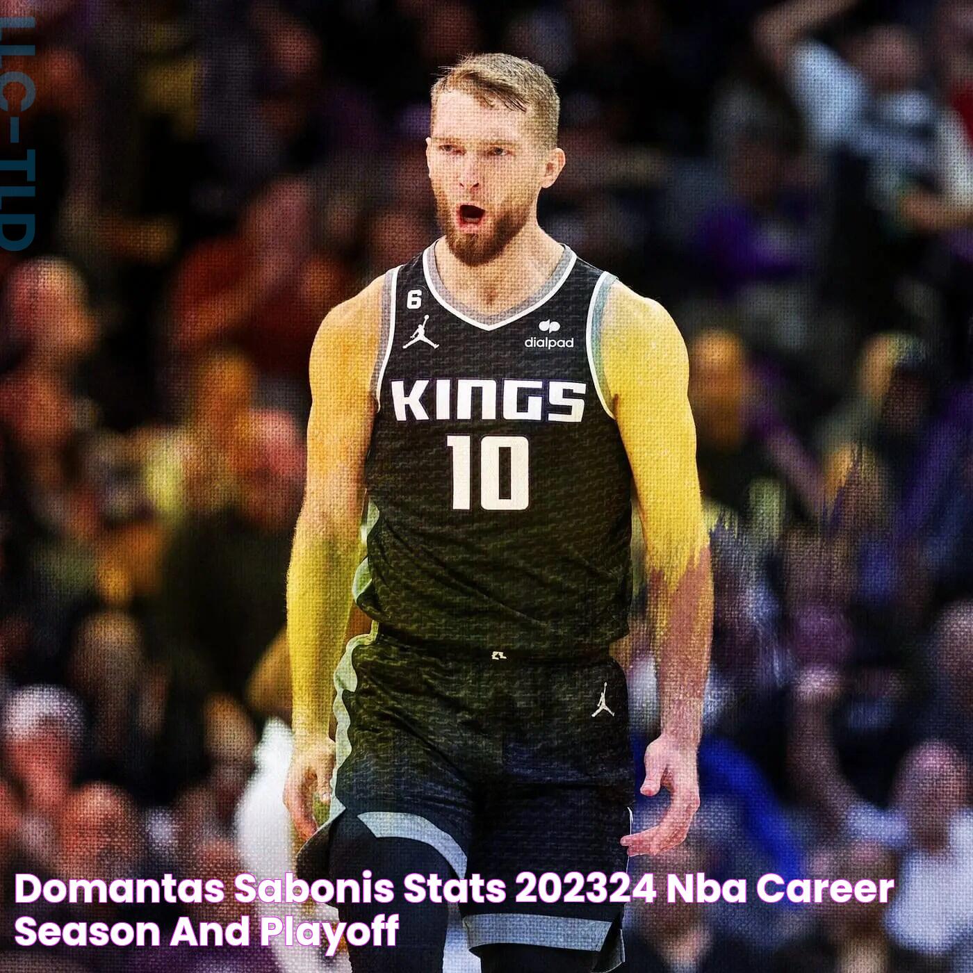 Domantas Sabonis Stats: A Deep Dive Into His NBA Achievements