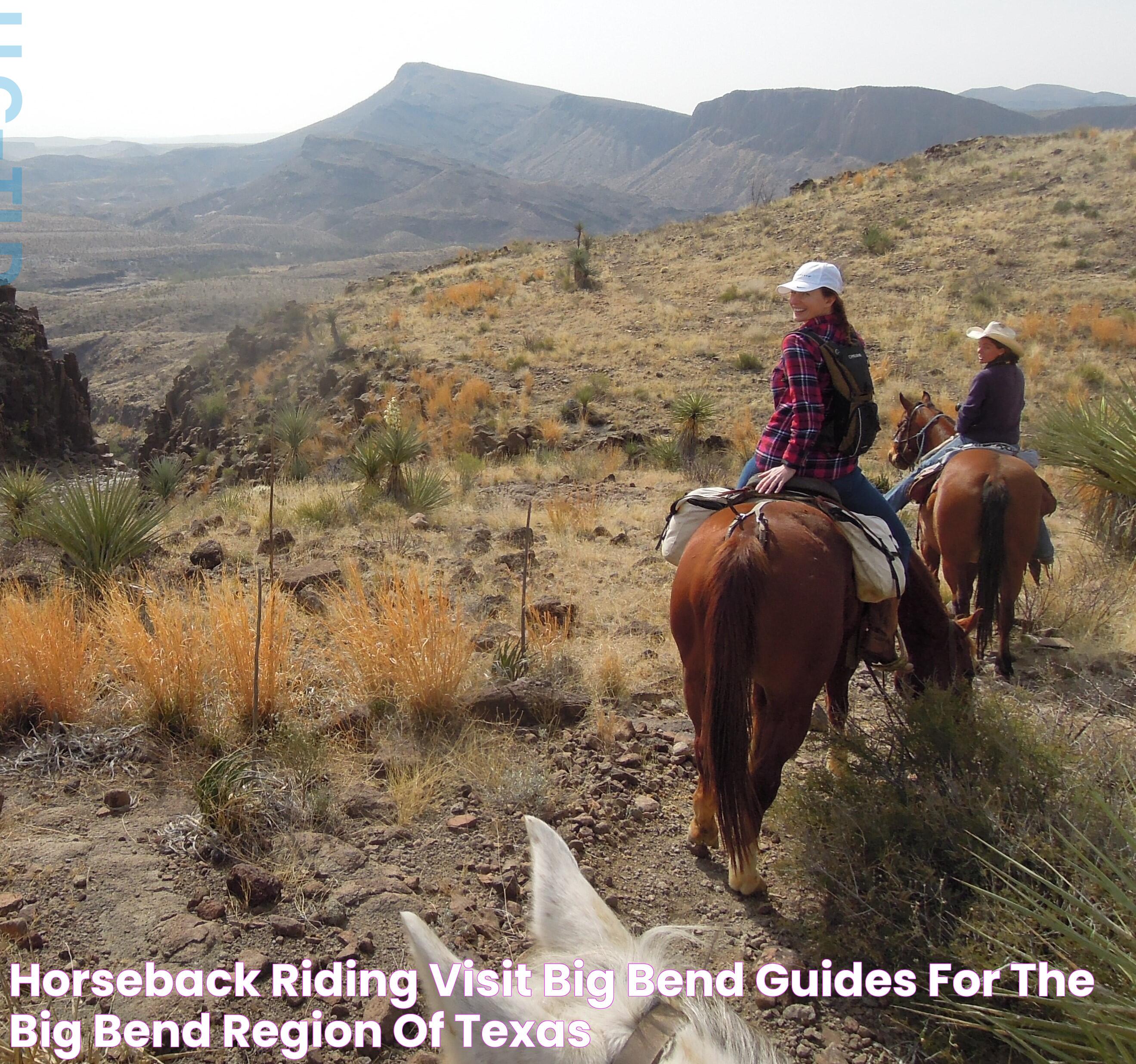 Ultimate Guide To Horseback Riding: Skills, Benefits, And Essentials