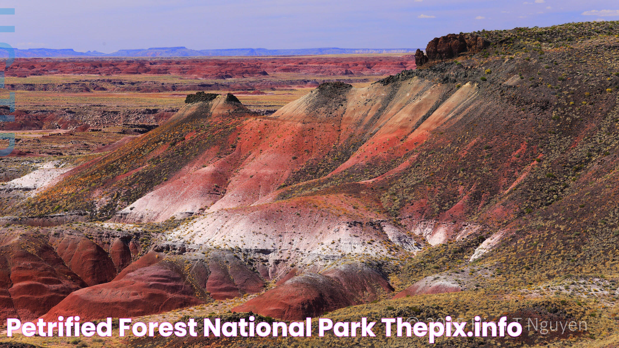 Ultimate Guide To Petrified Forest National Park: History, Geology, And Visitor Tips