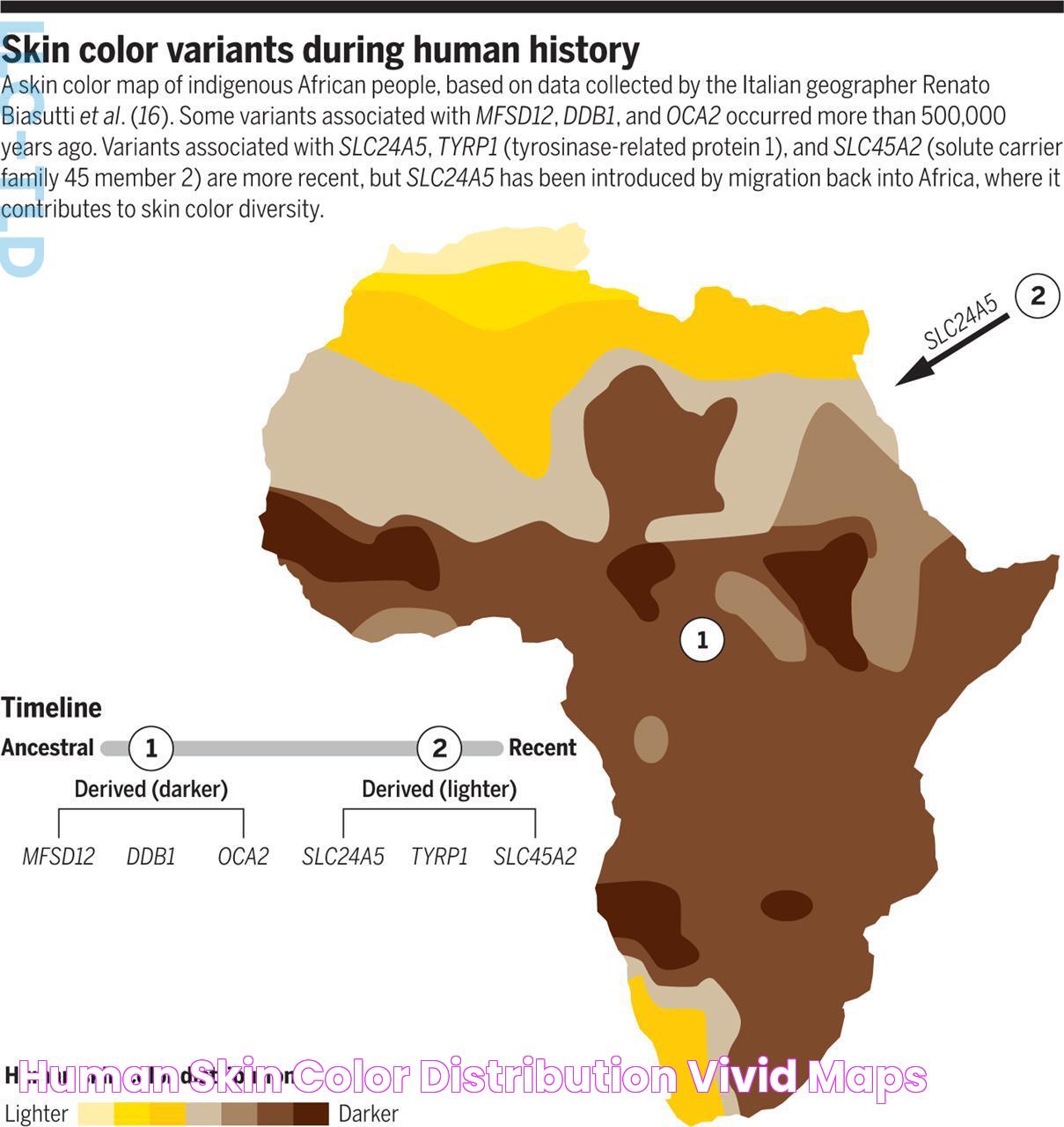 Italian Skin Color: Rich Heritage And Unique Characteristics