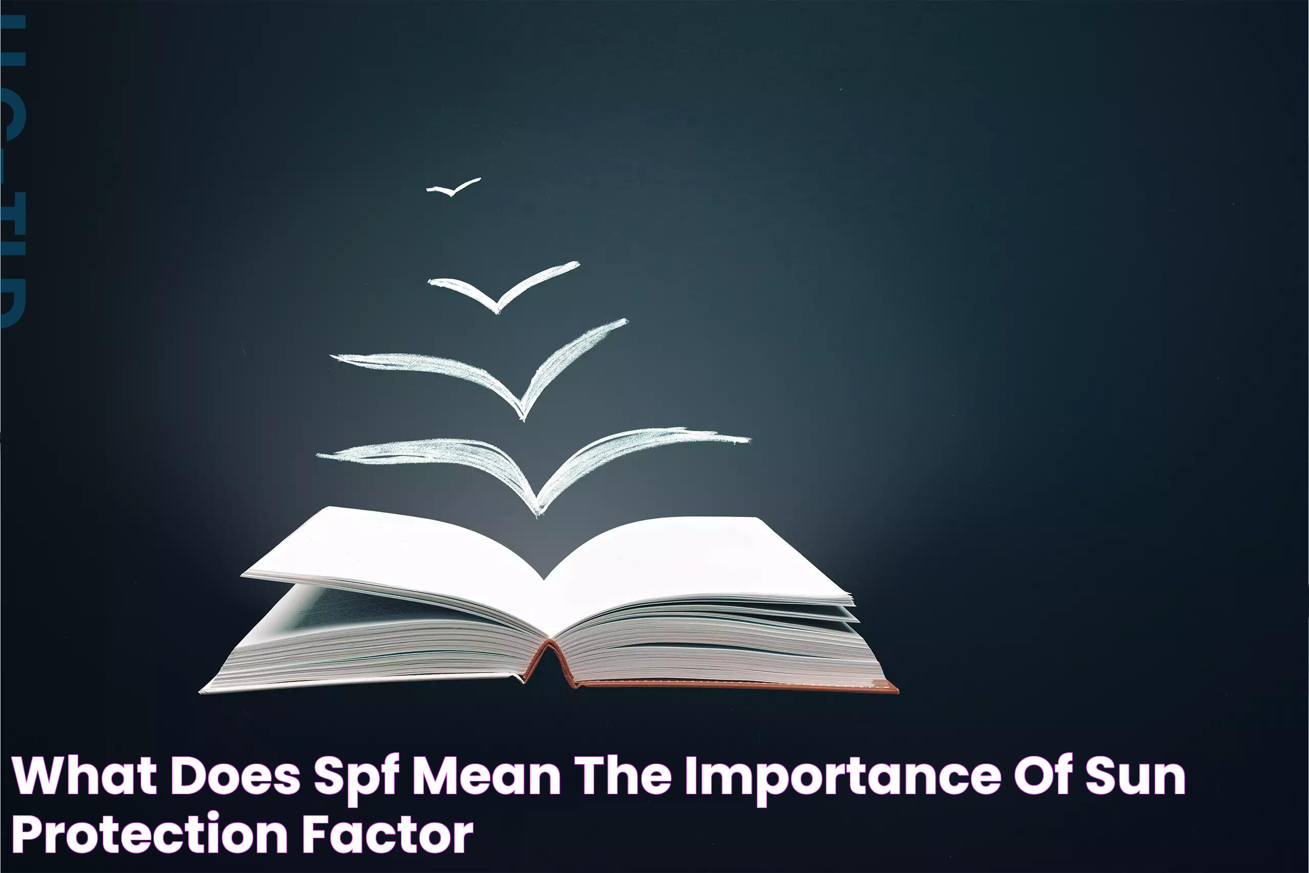 Understanding The Spiritual Significance Of 555: Insights And Interpretations