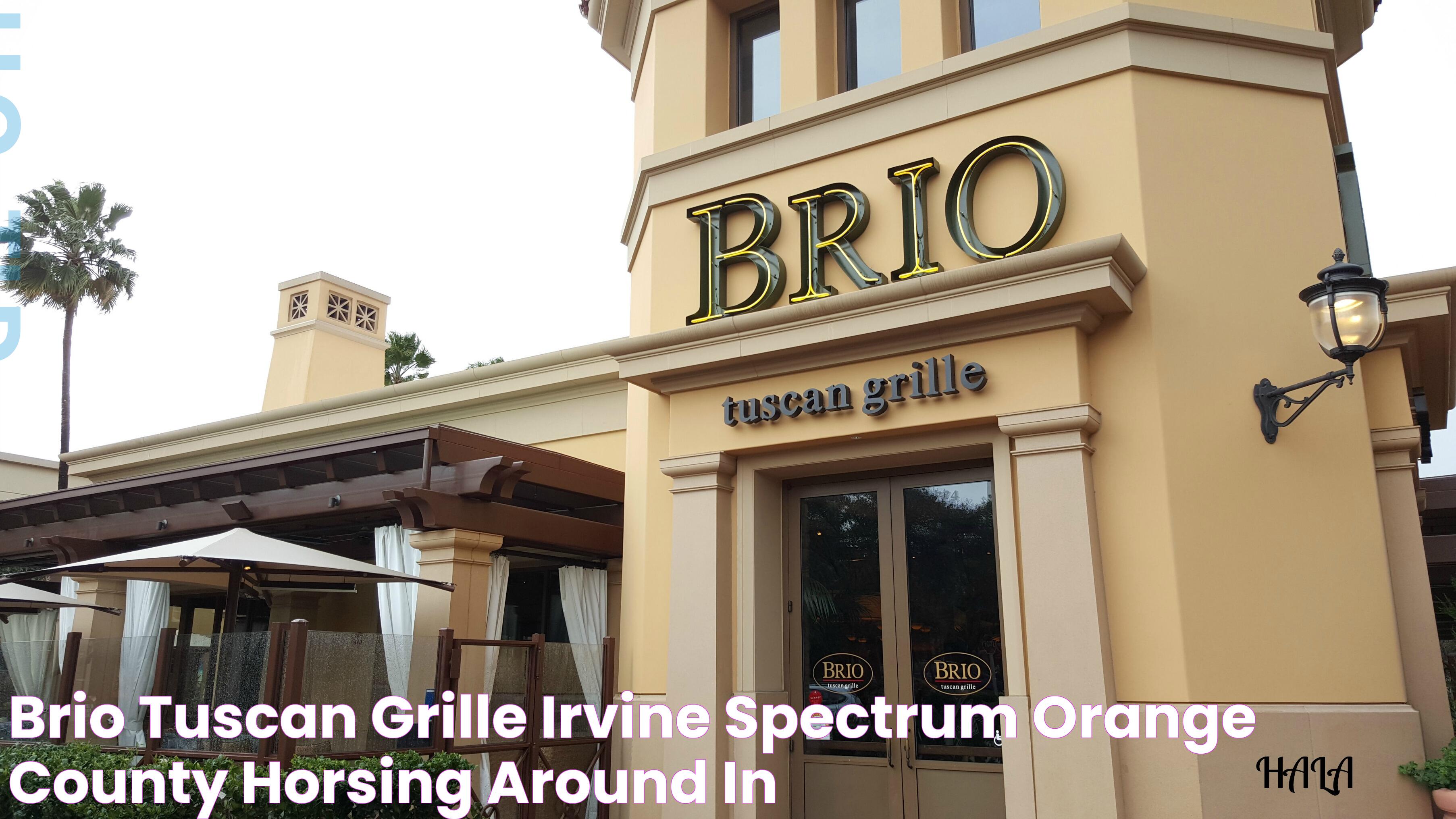 Brio Tuscan Grille: A Culinary Delight