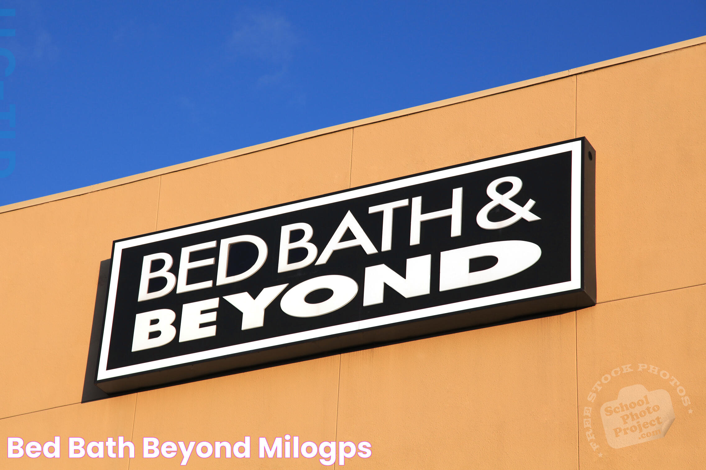 Thriving In The World Of Bed Bath N Beyond: A Complete Guide