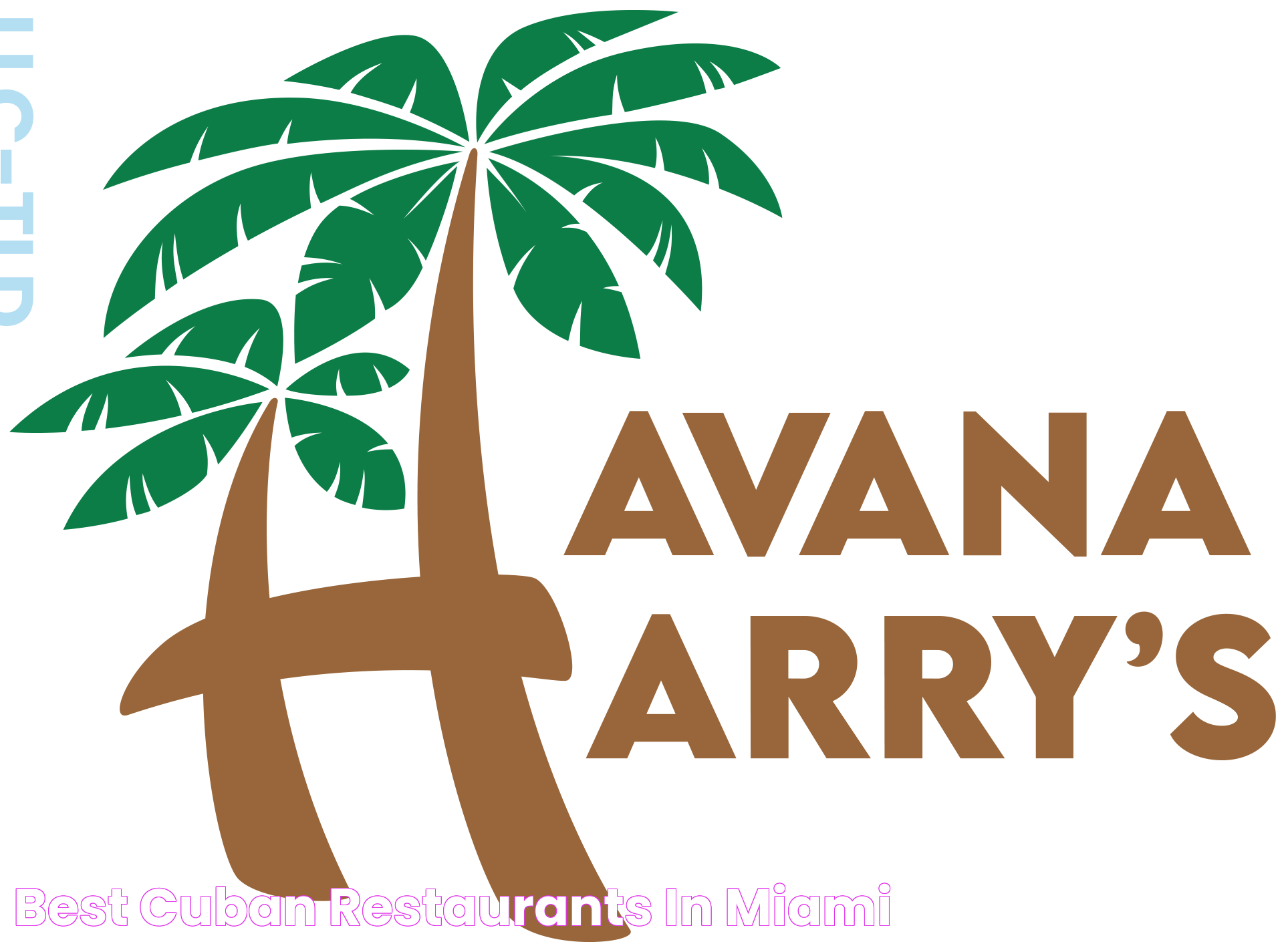 Havana Harry's: A Culinary Delight Awaits You