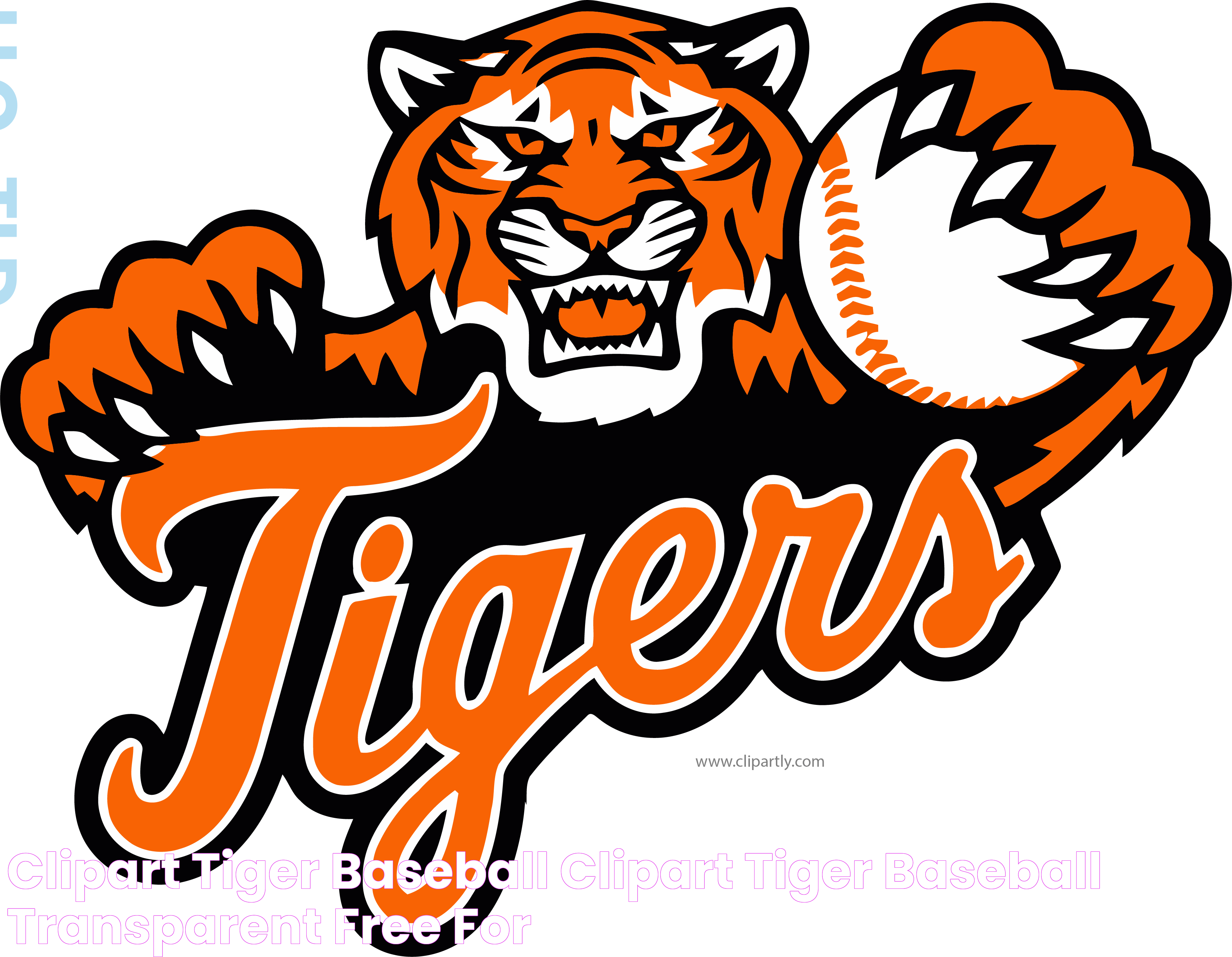 Secrets Of Tiger Baseball: A Comprehensive Guide