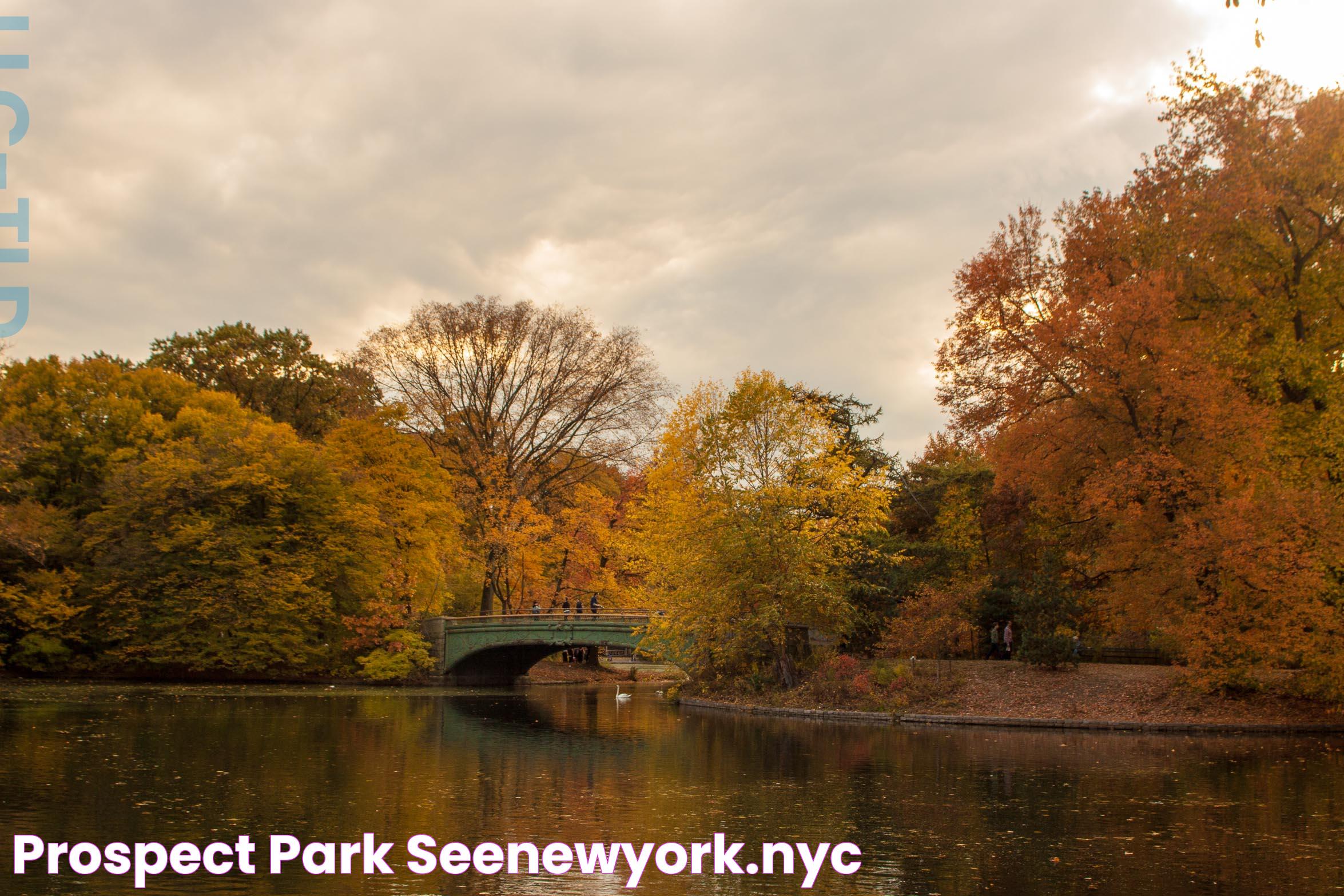 Prospect Park NYC: The Green Oasis Of Brooklyn