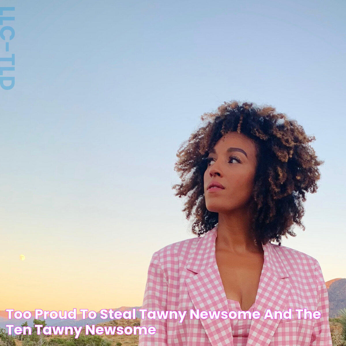 Spotlight On Tawny Newsome: A Multifaceted Talent In Entertainment