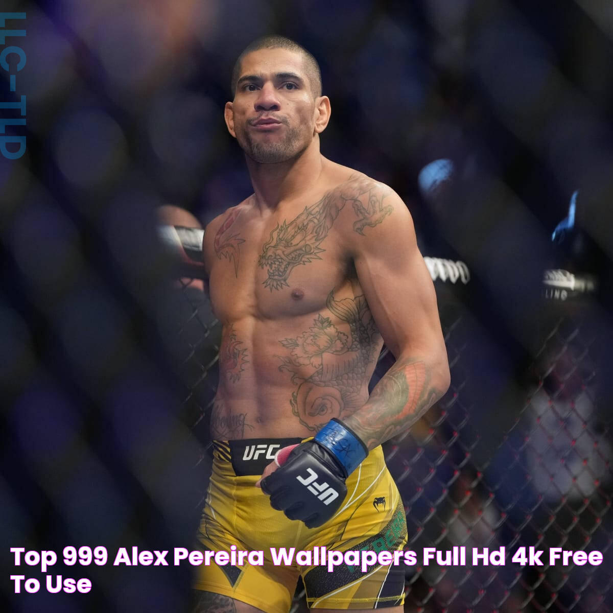 Understanding The Phenomenal Rise Of Alex Pereira Height In The World Of Combat Sports