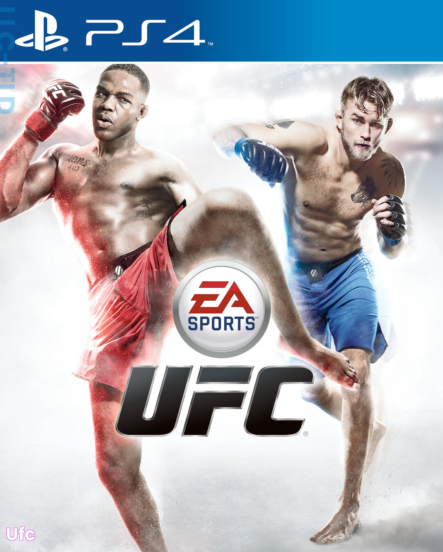 Ultimate Guide To Mastering UFC Game Techniques