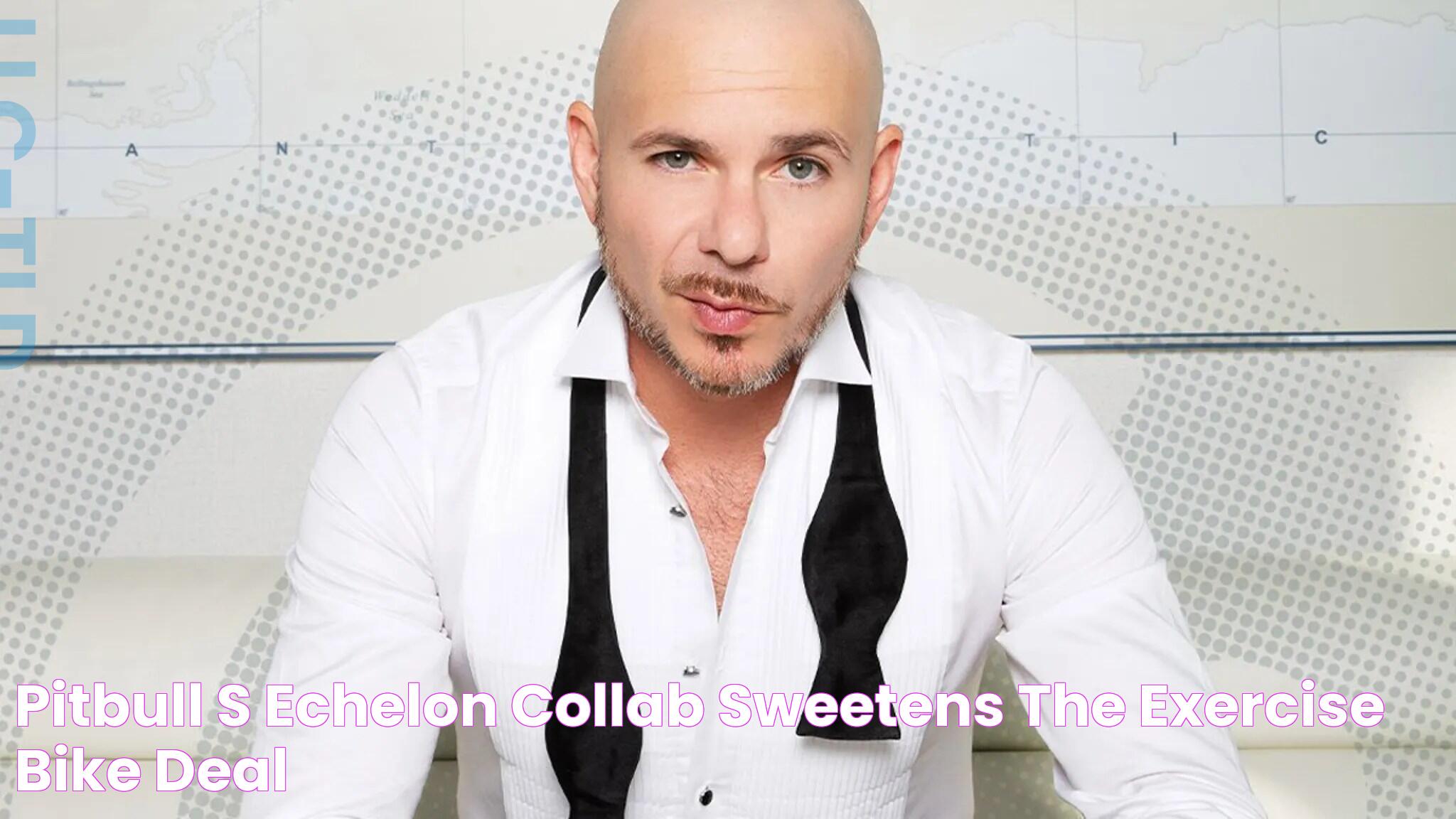 The Ultimate Guide To Pitbull Collab: Everything You Need To Know