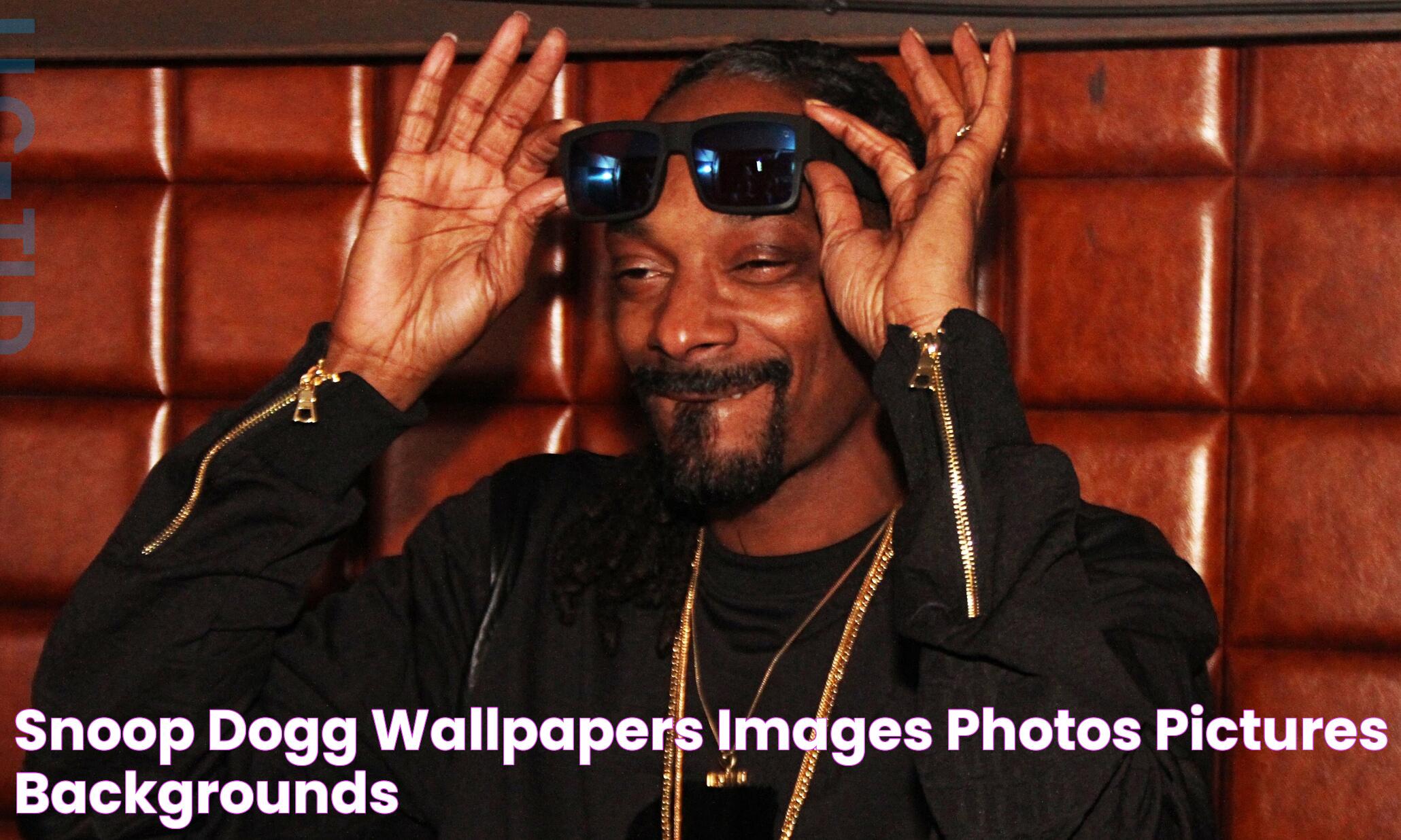 The Ultimate Guide To Who Snoop Dog Is And His Impact On Music And Culture