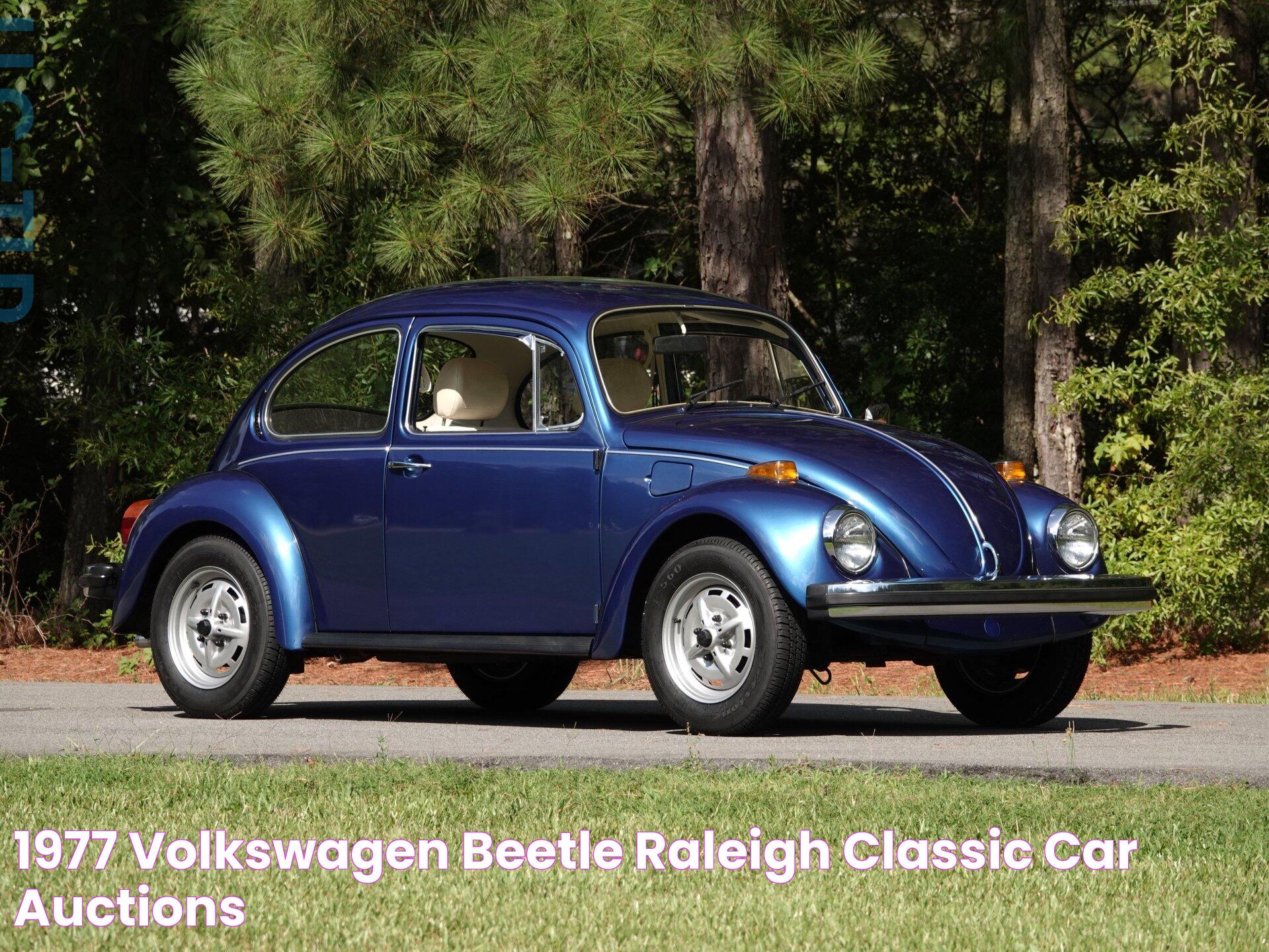 What Oil Does A 1977 Volkswagen Beetle Take? Essential Guide