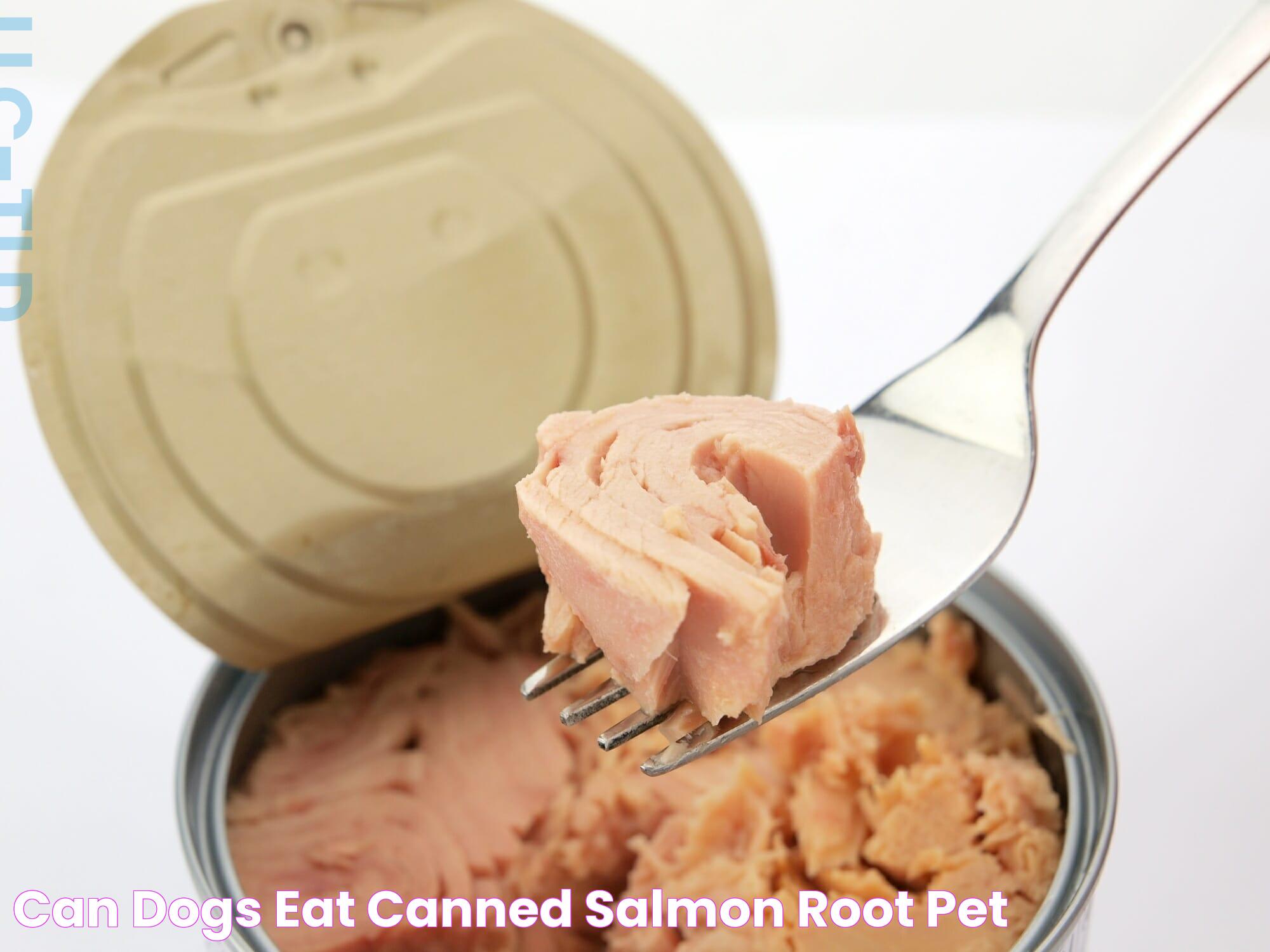 Can Dogs Eat Salmon? A Guide To Safe And Nutritious Choices For Your Furry Friend