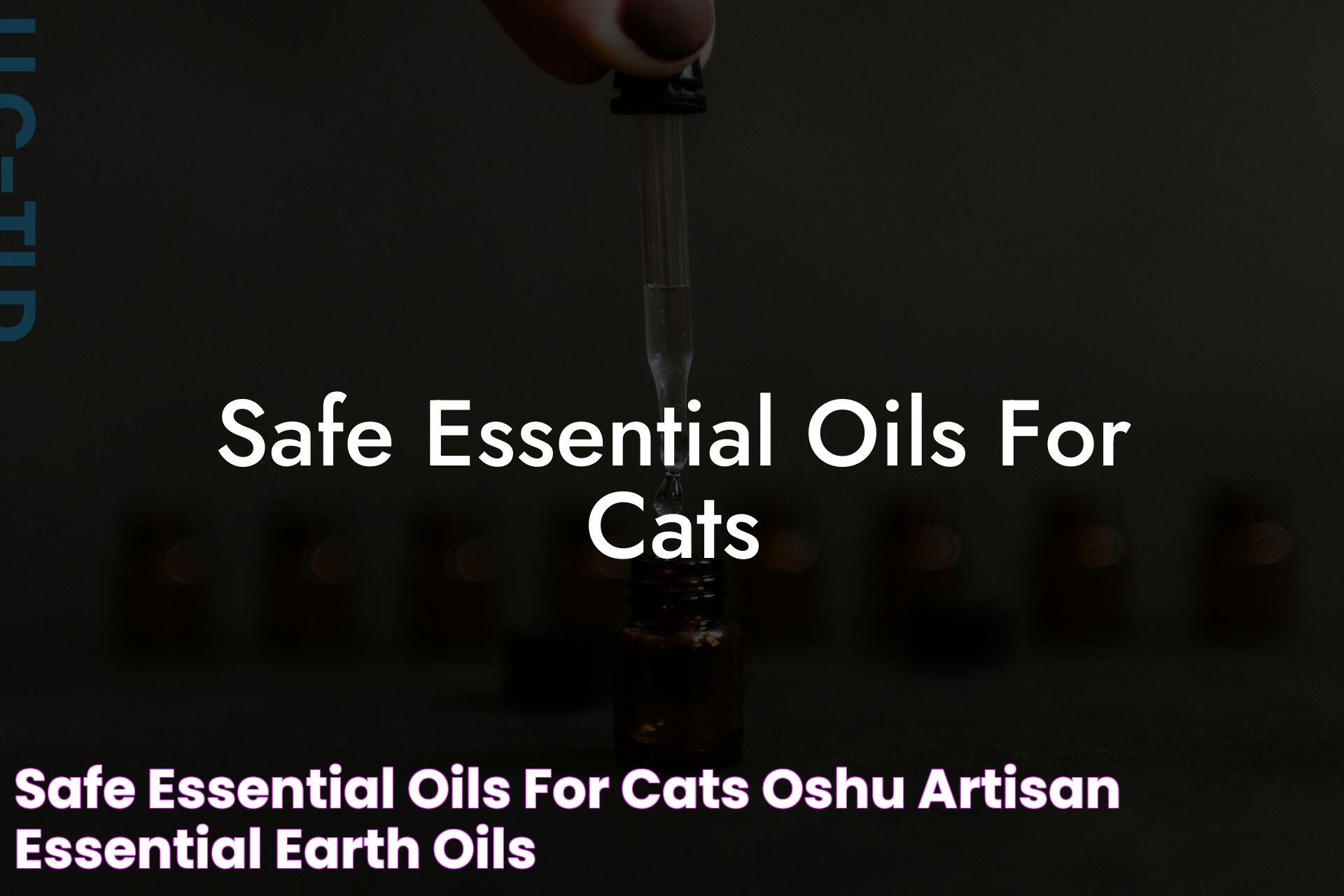 Essential Oils For Cats: Safe Choices And Benefits