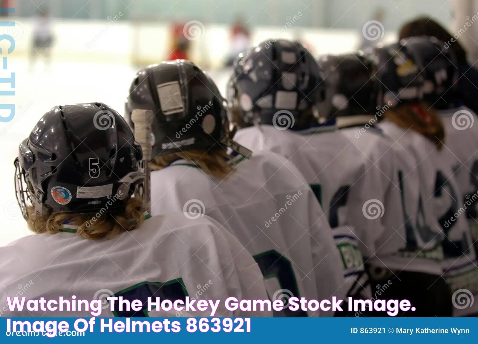 What Do You Call The People Watching A Hockey Game: Fans, Spectators, And More