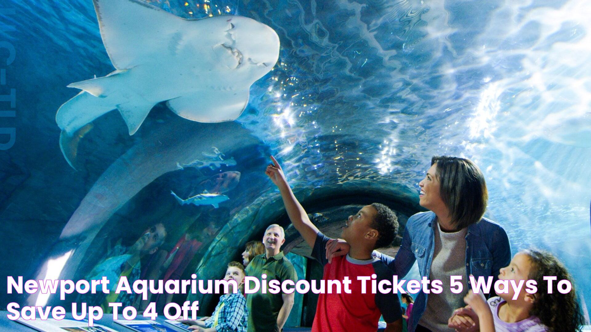 Affordable Newport Aquarium Tickets: Your Guide To A Memorable Visit