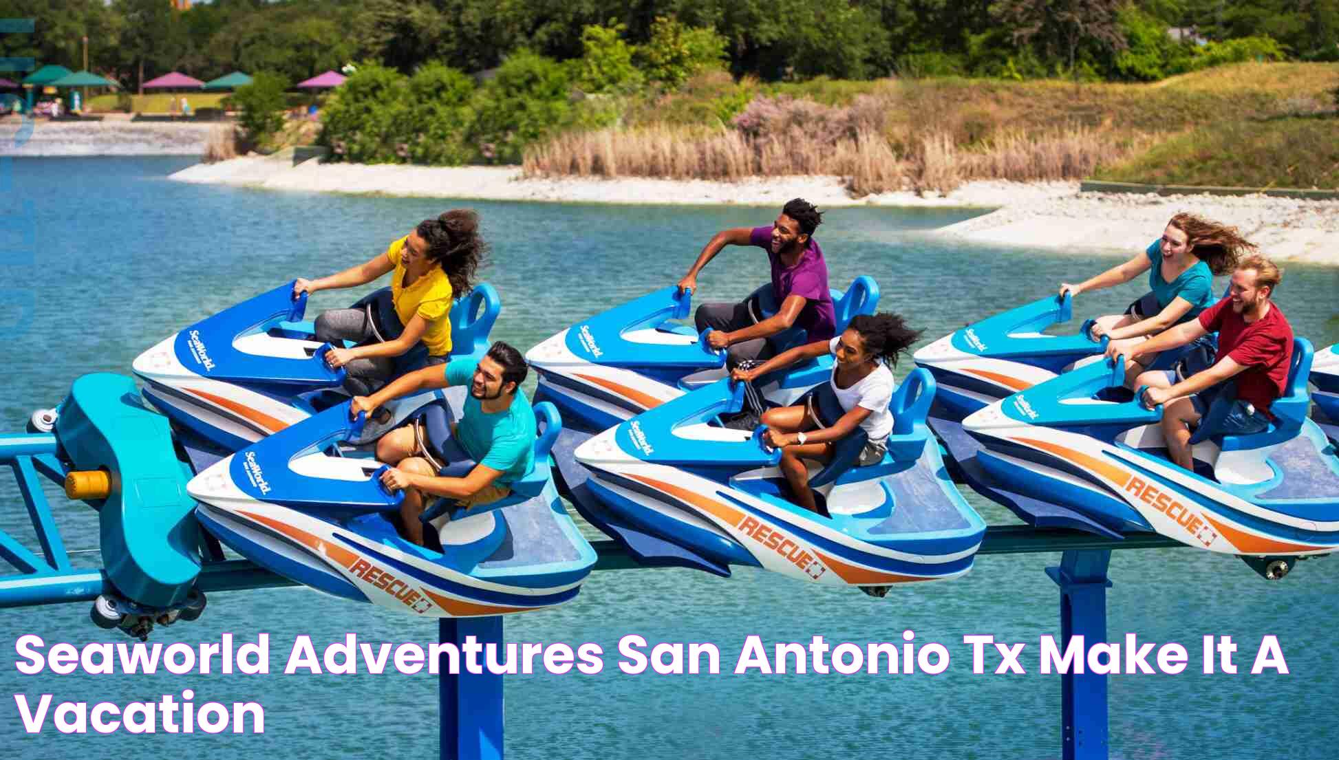 San Antonio SeaWorld Adventure: A Guide To Fun And Learning