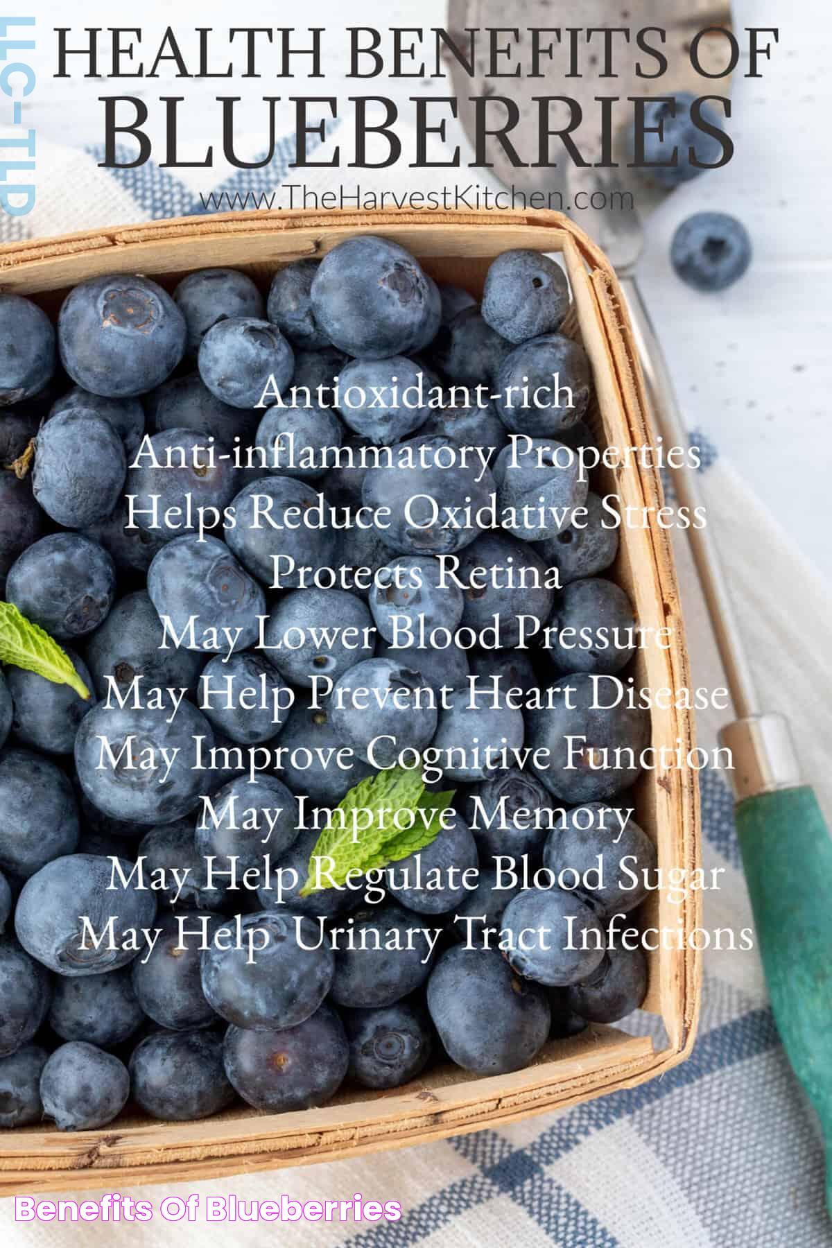 Health Benefits Of Blueberries: Nature's Nutrient Powerhouse