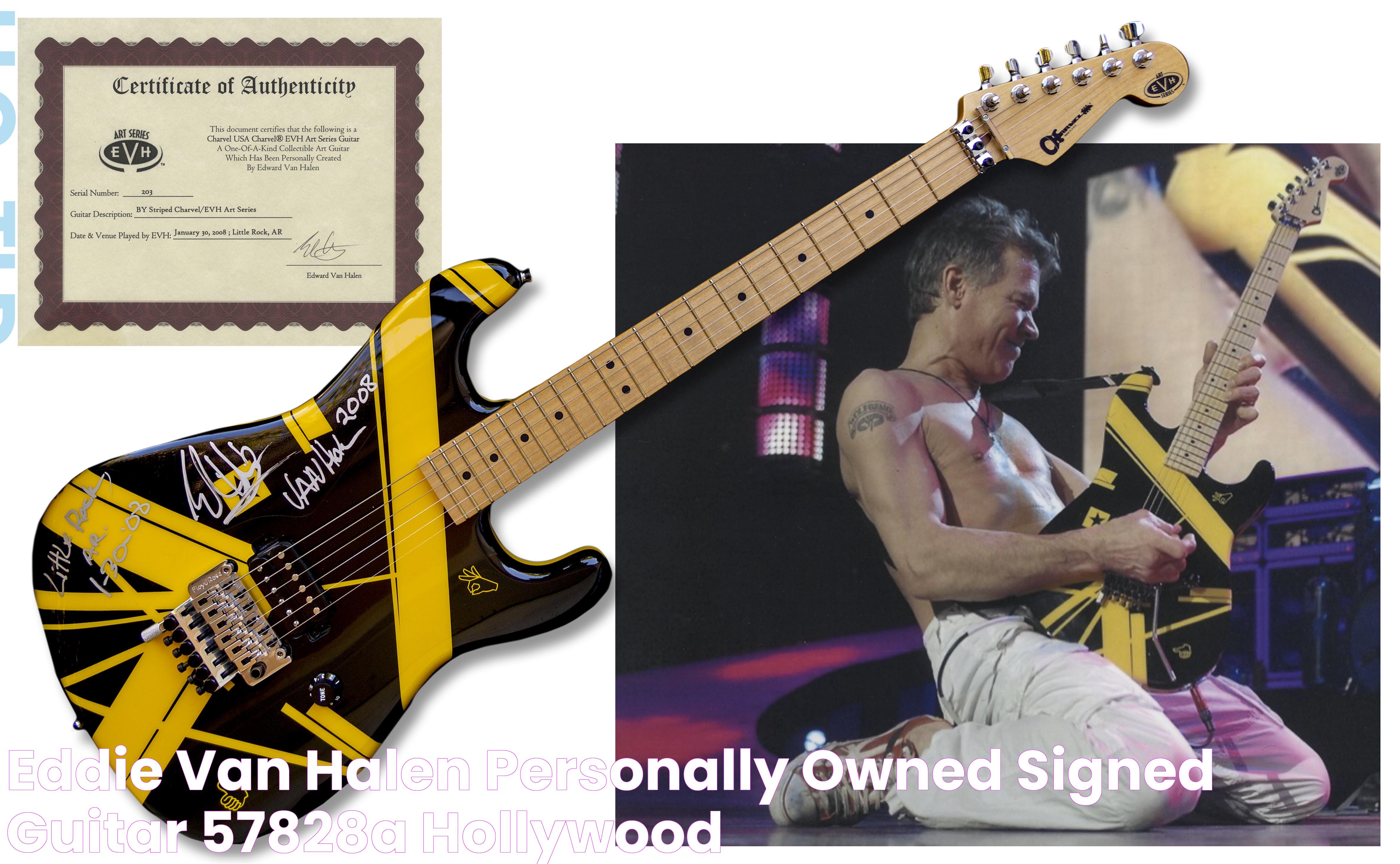 Ultimate Guide To Eddie Van Halen Guitar: Techniques, Gear, And Influence