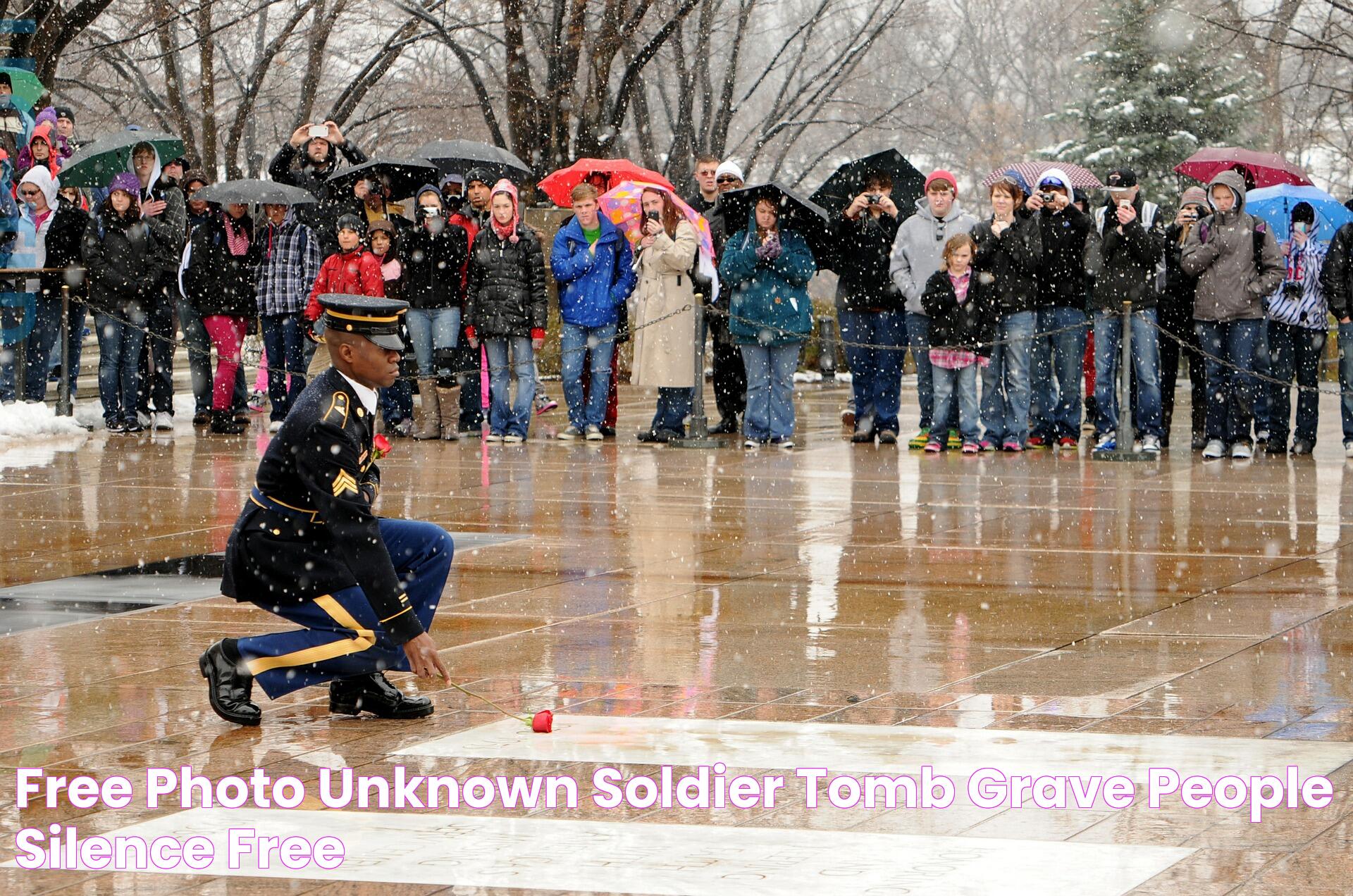 The Tomb Of The Unknown Soldier: Honoring Sacrifice And Valor