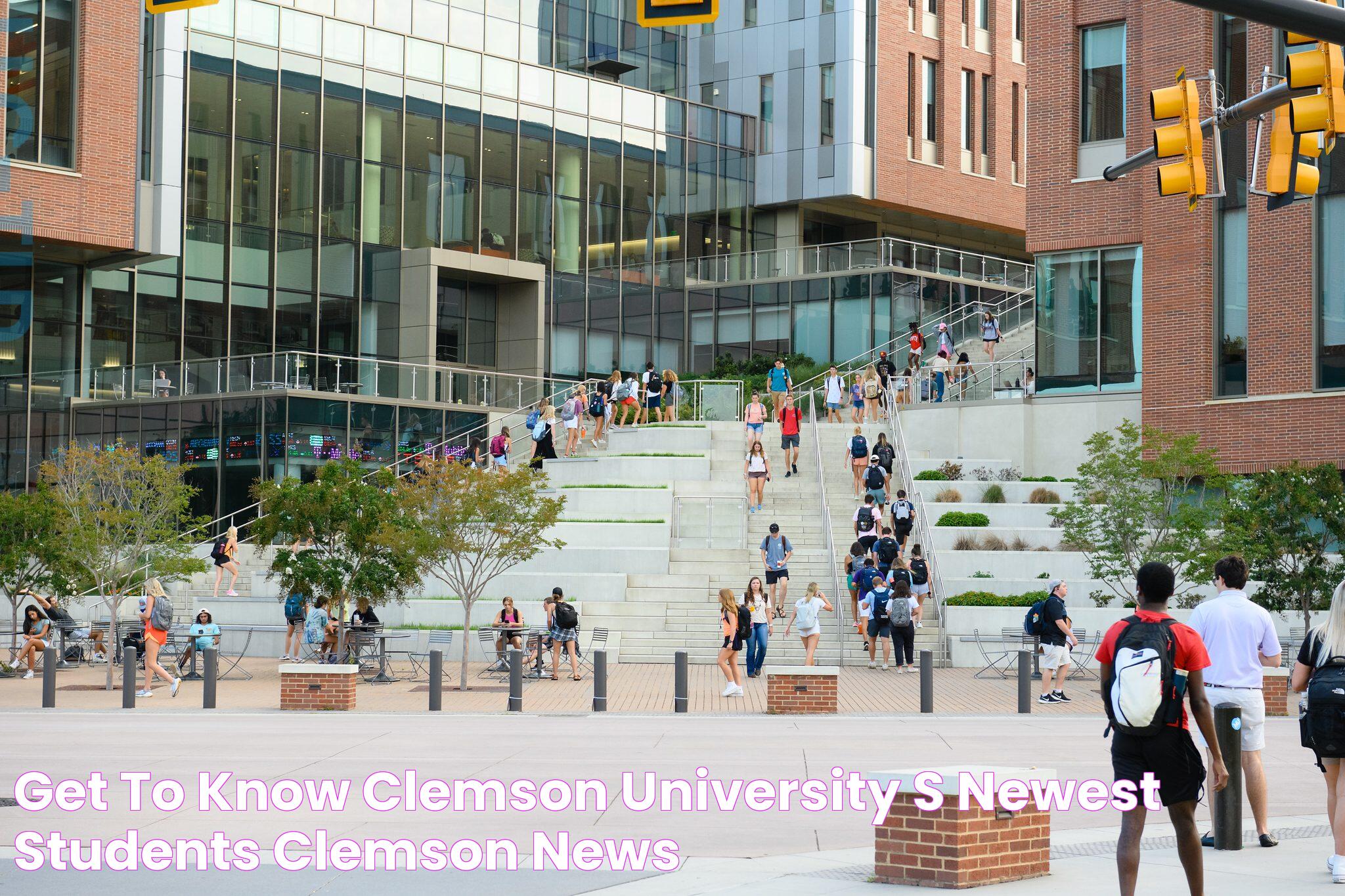 Comprehensive Guide To Clemson University: Academics, Campus Life, And More