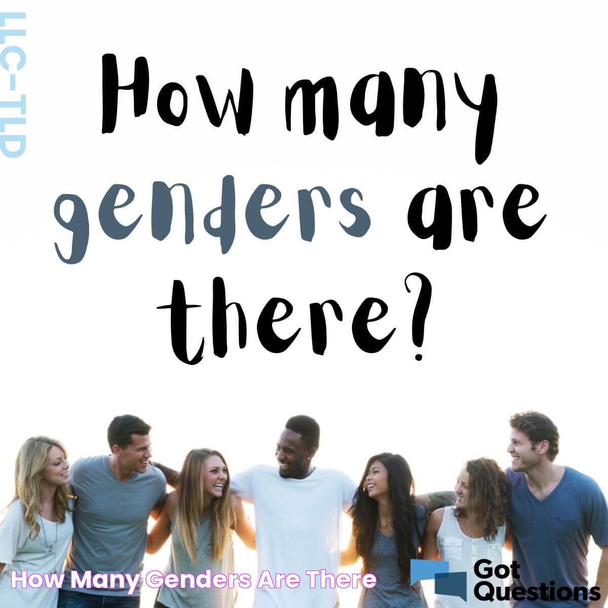 The Spectrum Of Gender: Exploring The Diversity Beyond Binary