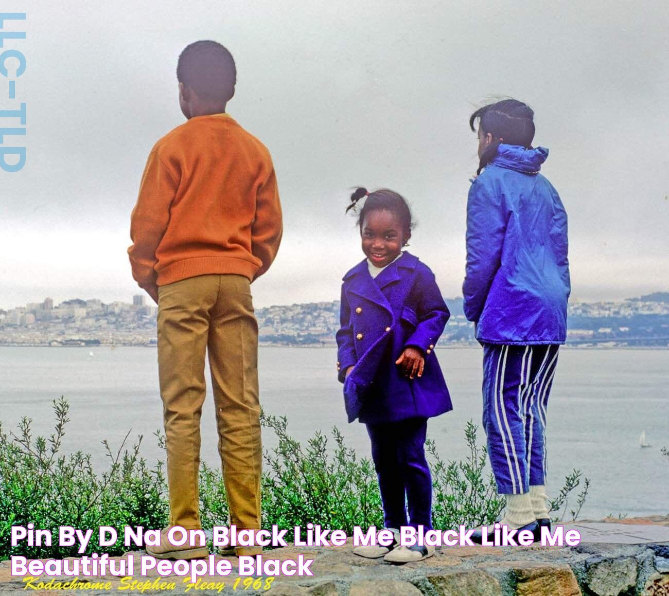 Black Like Me: A Deep Dive Into The Phenomenon