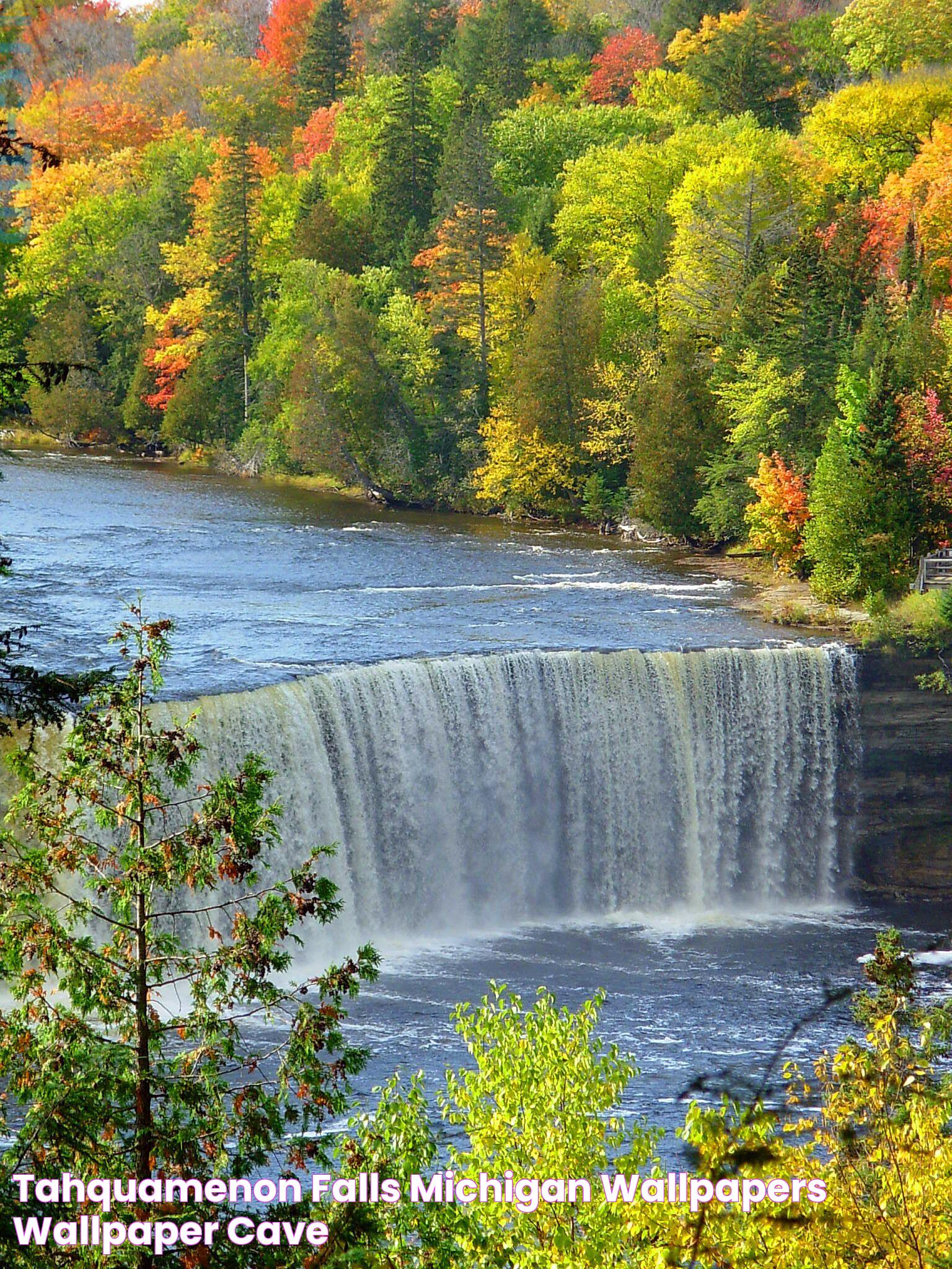 Ultimate Guide To Tahquamenon Falls Michigan: Nature's Timeless Treasure