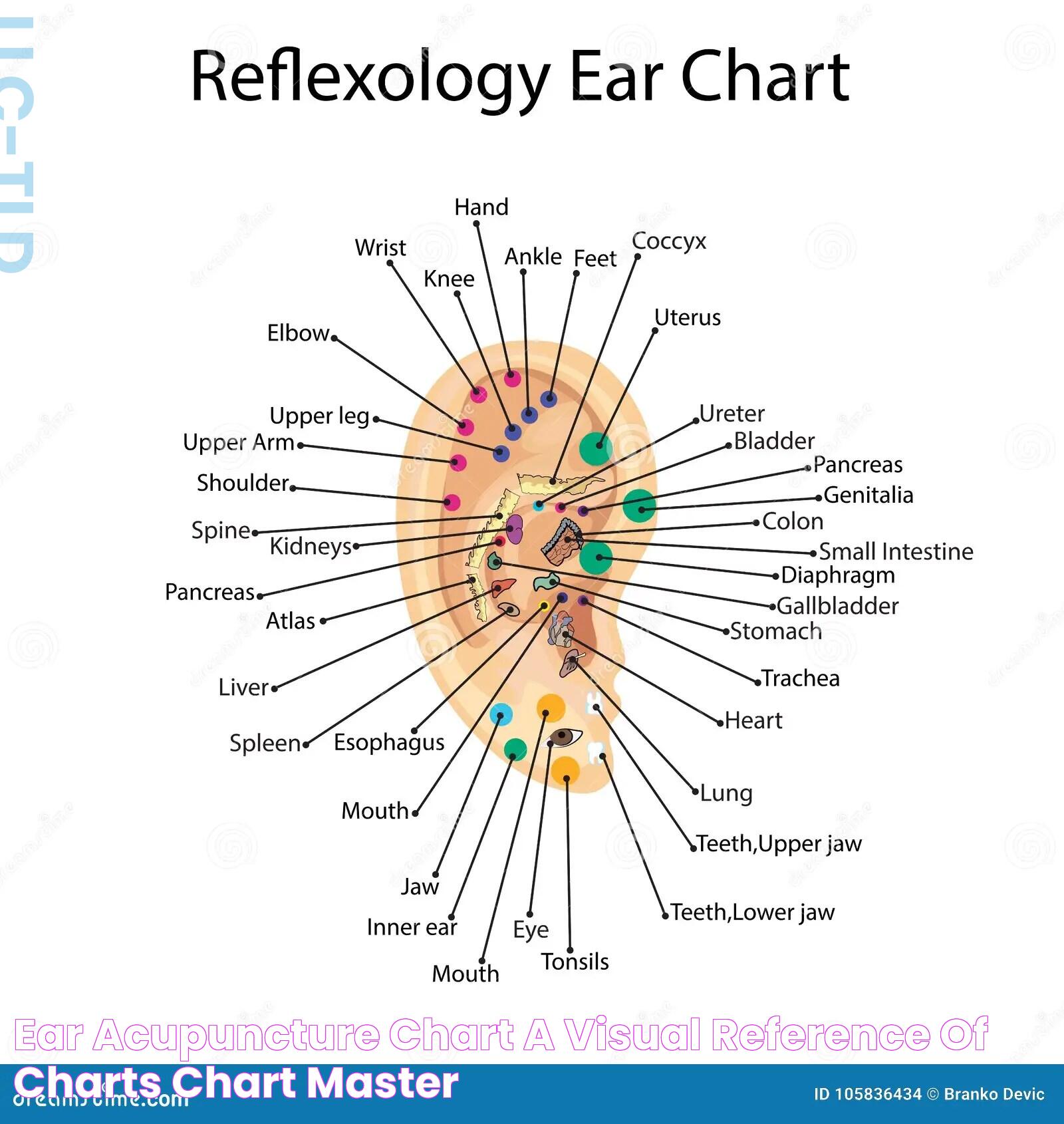 Acupuncture In Ear: Techniques And Benefits Unveiled