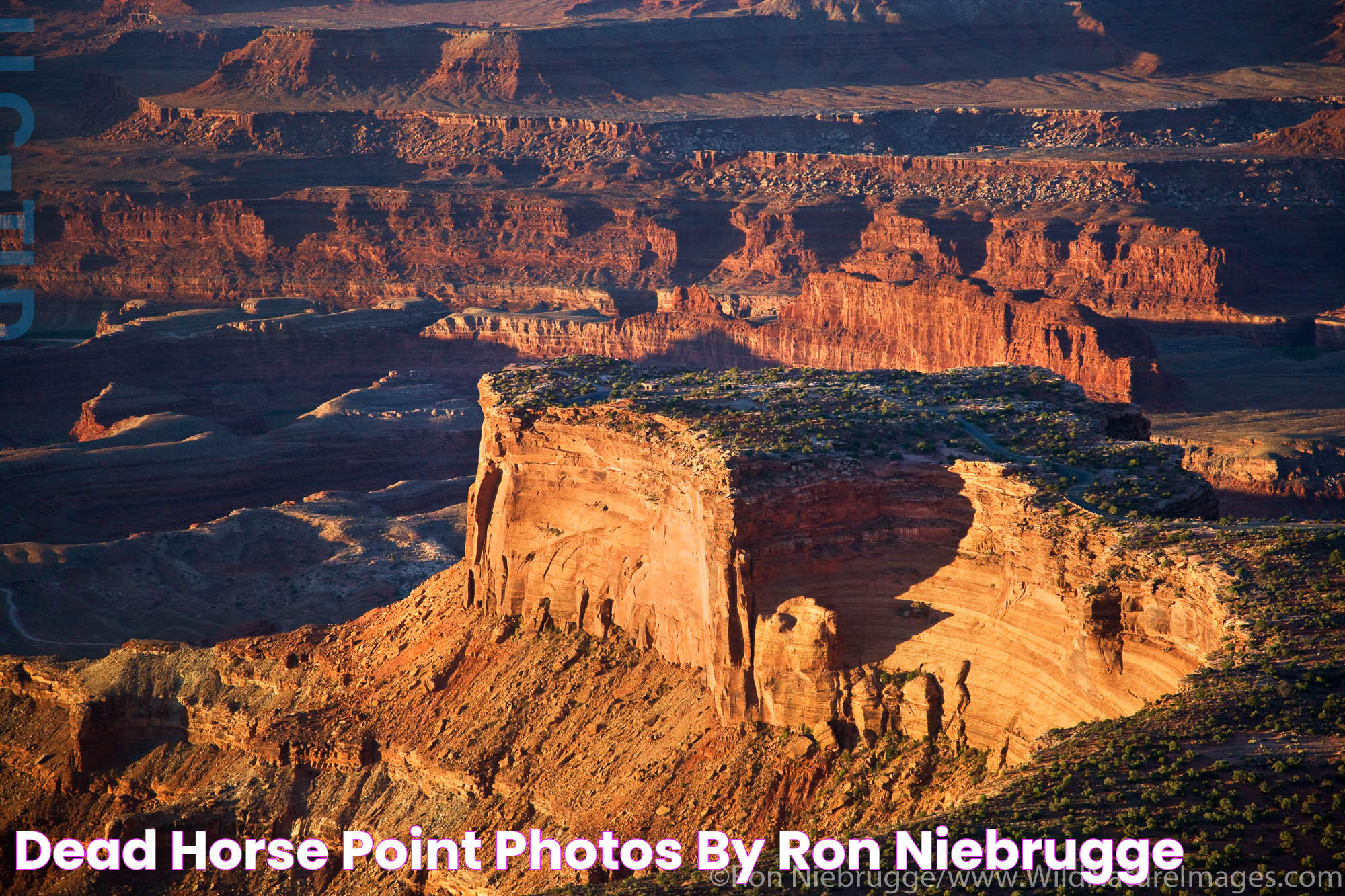 Majestic Views At Dead Horse Point: A Natural Wonder Awaits