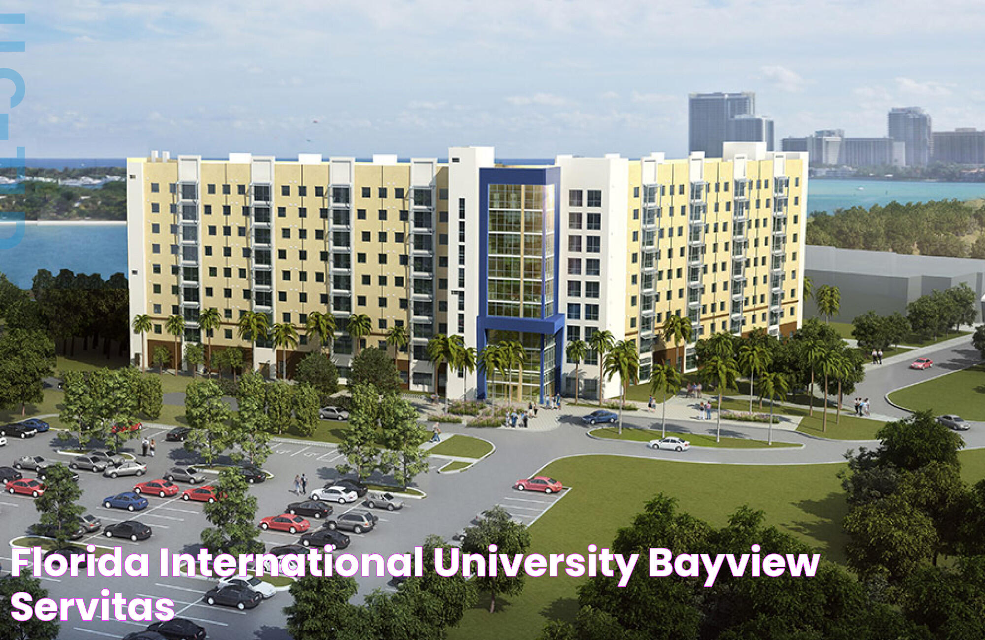 Florida International University: A Premier Educational Institution