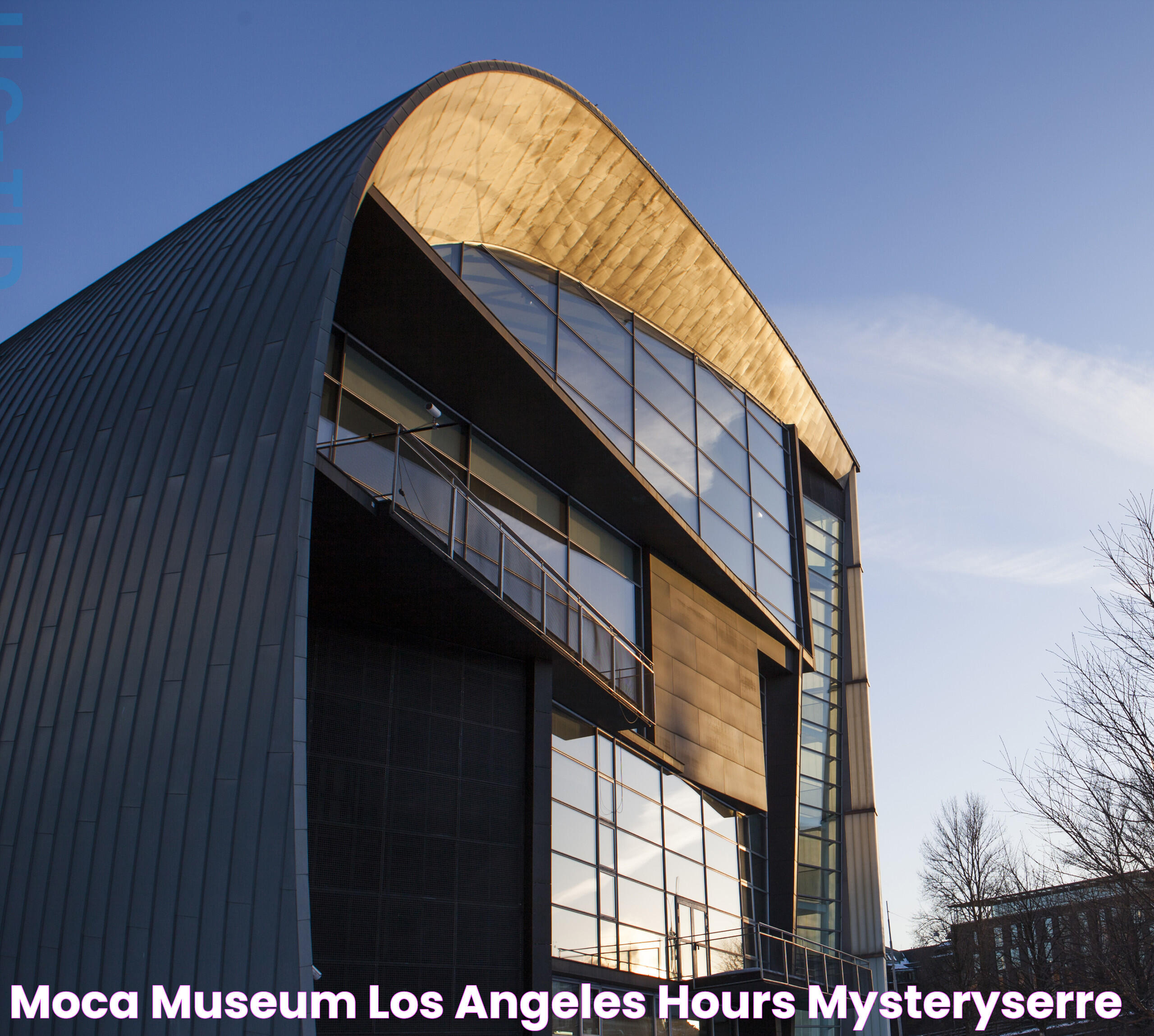 MOCA Museum Los Angeles: A Cultural Hub In The Heart Of The City