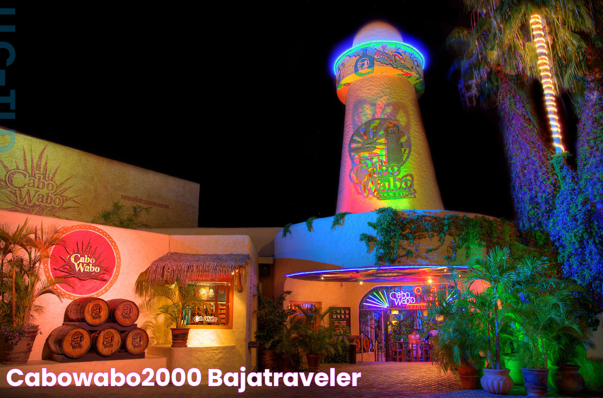 Ultimate Guide To Cabo Wabo Cantina: A Must-Visit Destination