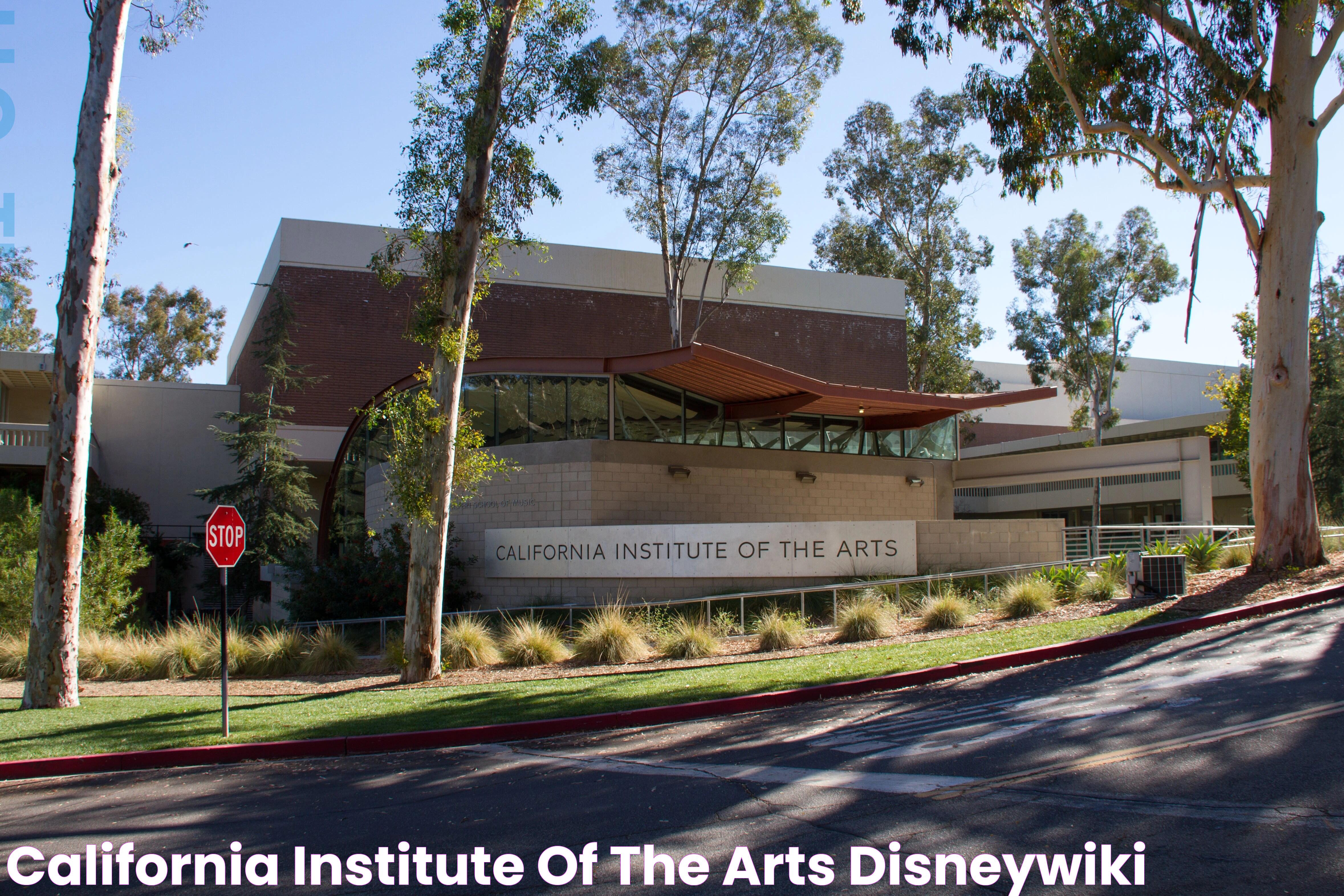 California Institute Of The Arts: Innovating Artistic Expression