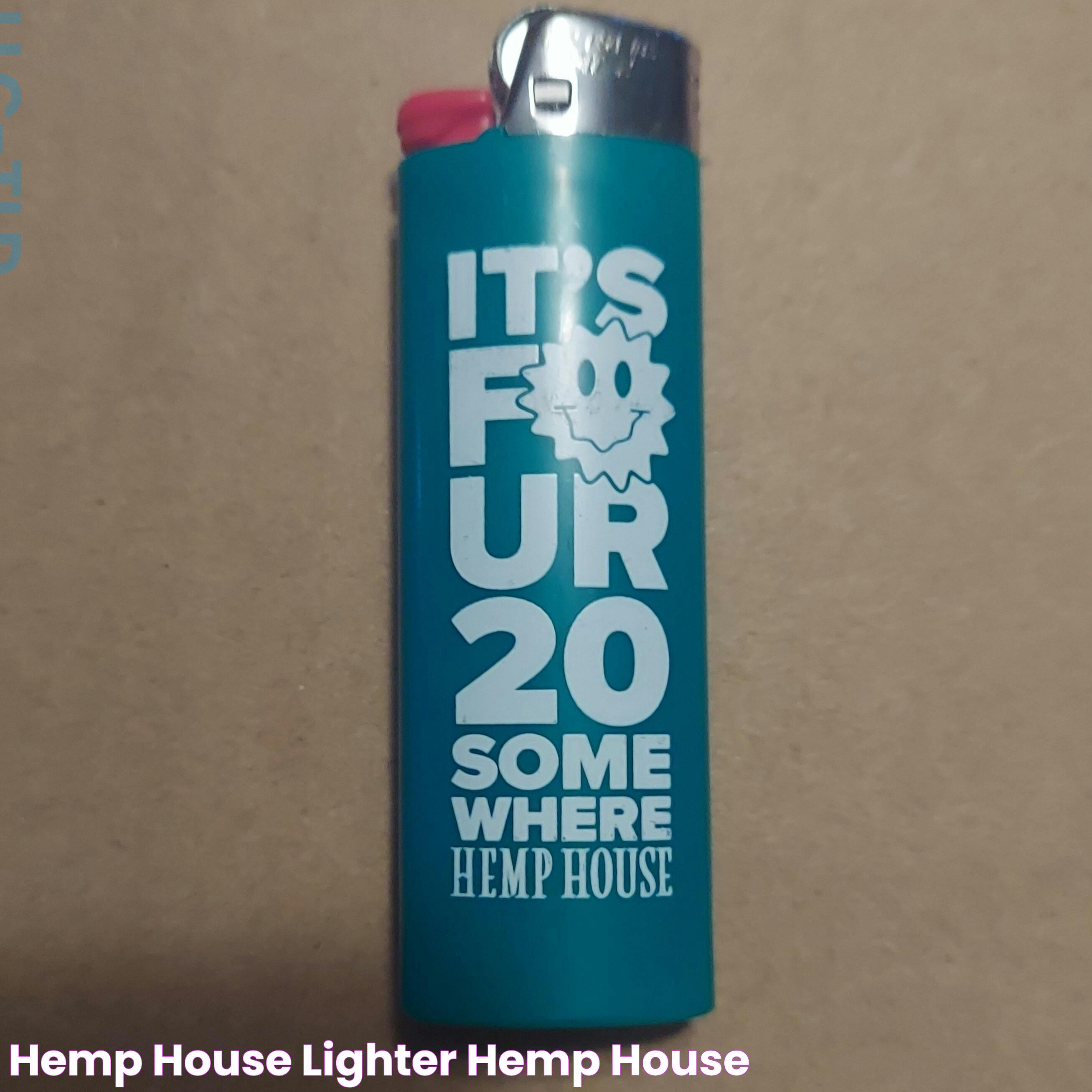 Future Of Sustainable Living: The Hemp House Revolution