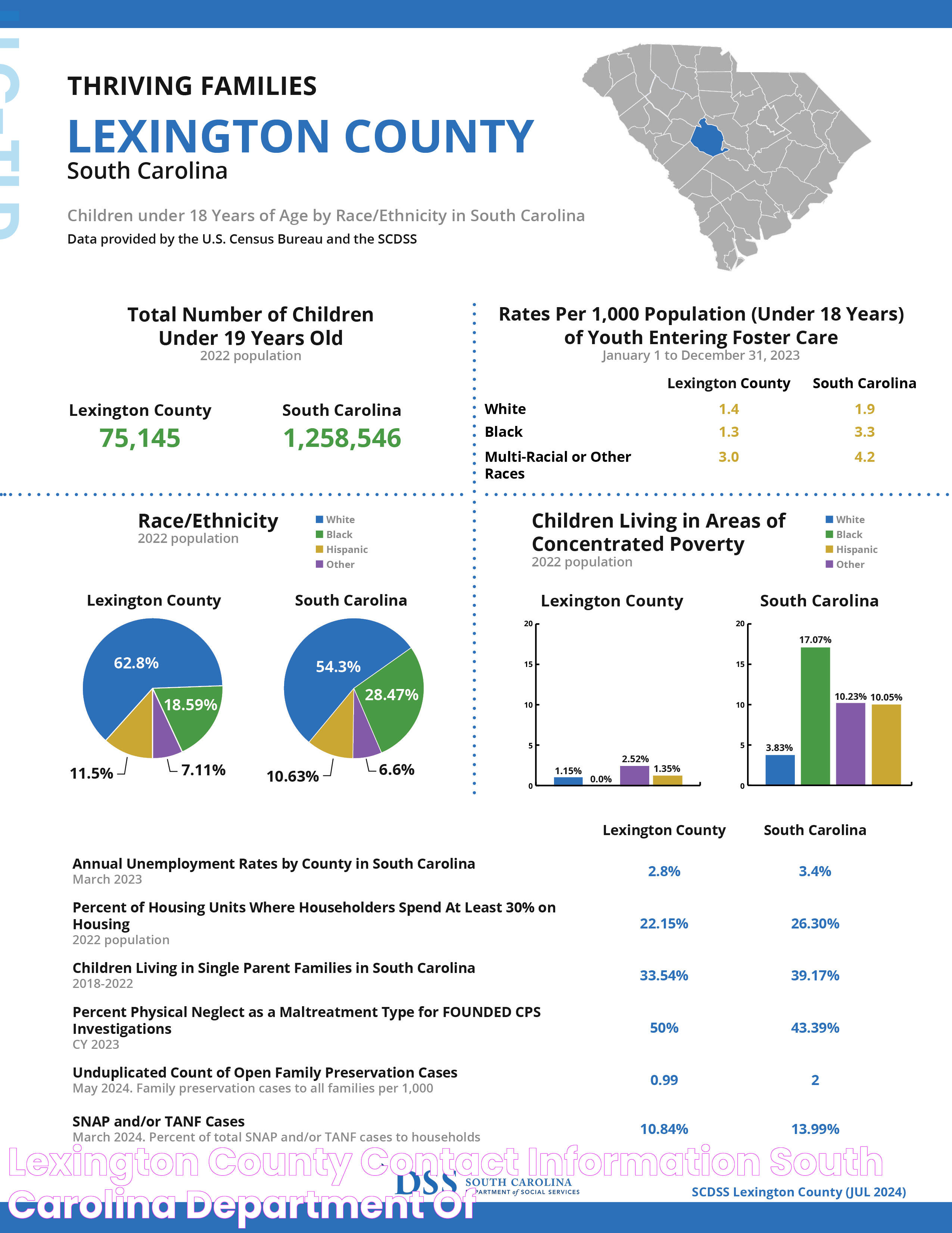 Lexington County DSS: A Detailed Guide To Services And Support