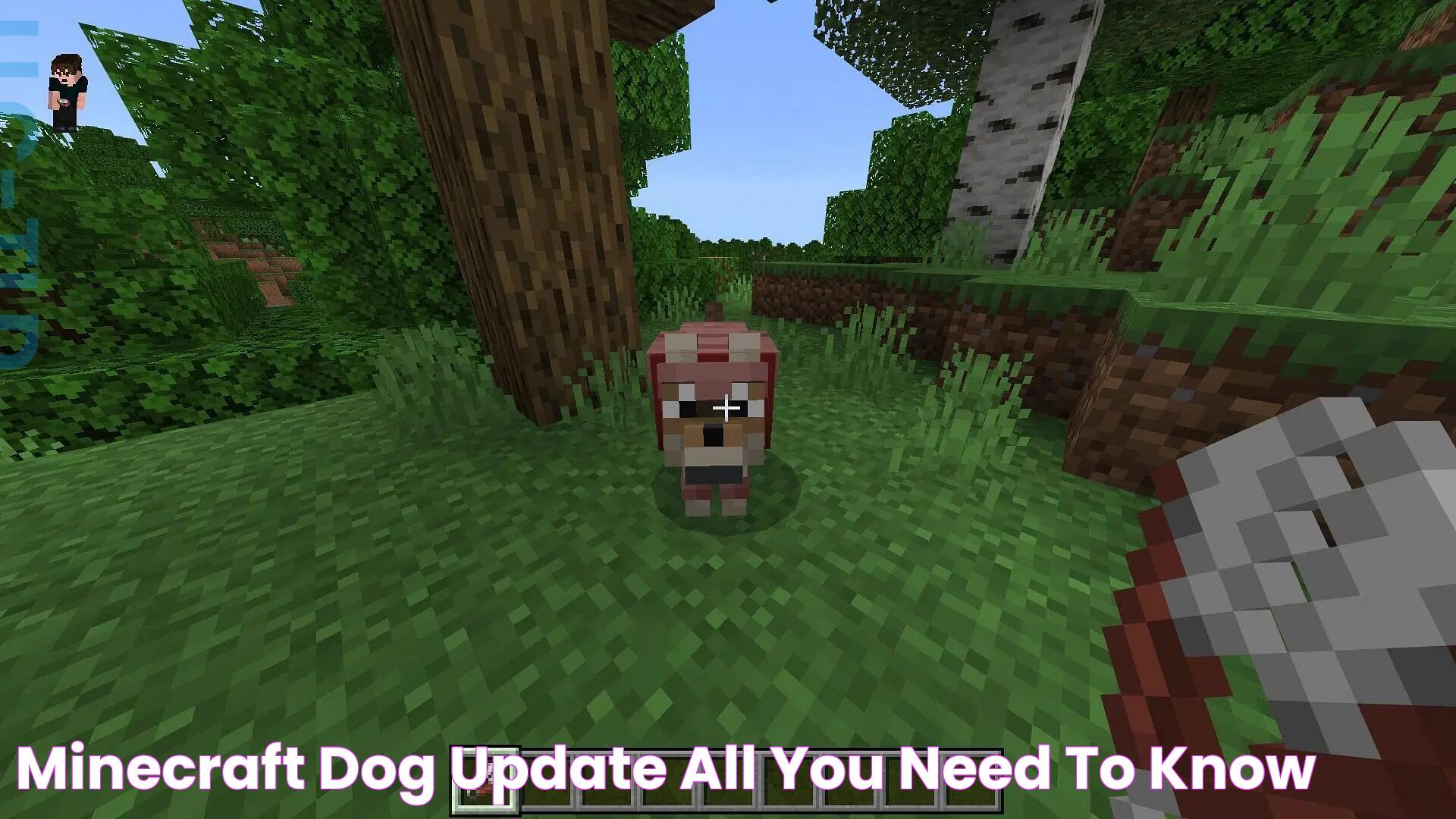 Minecraft Dog Update: Enhancements Await Canine Companions