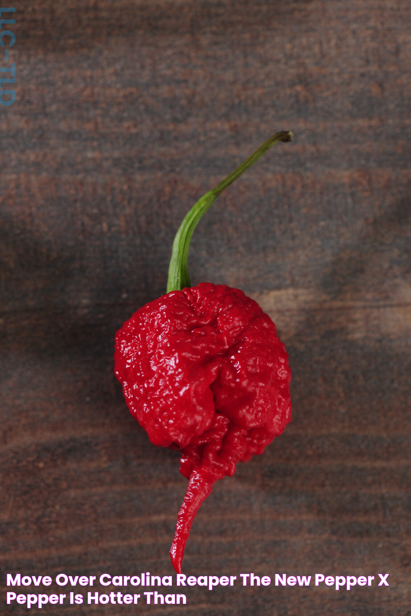 Unmasking The Heat: A Deep Dive Into Pepper X